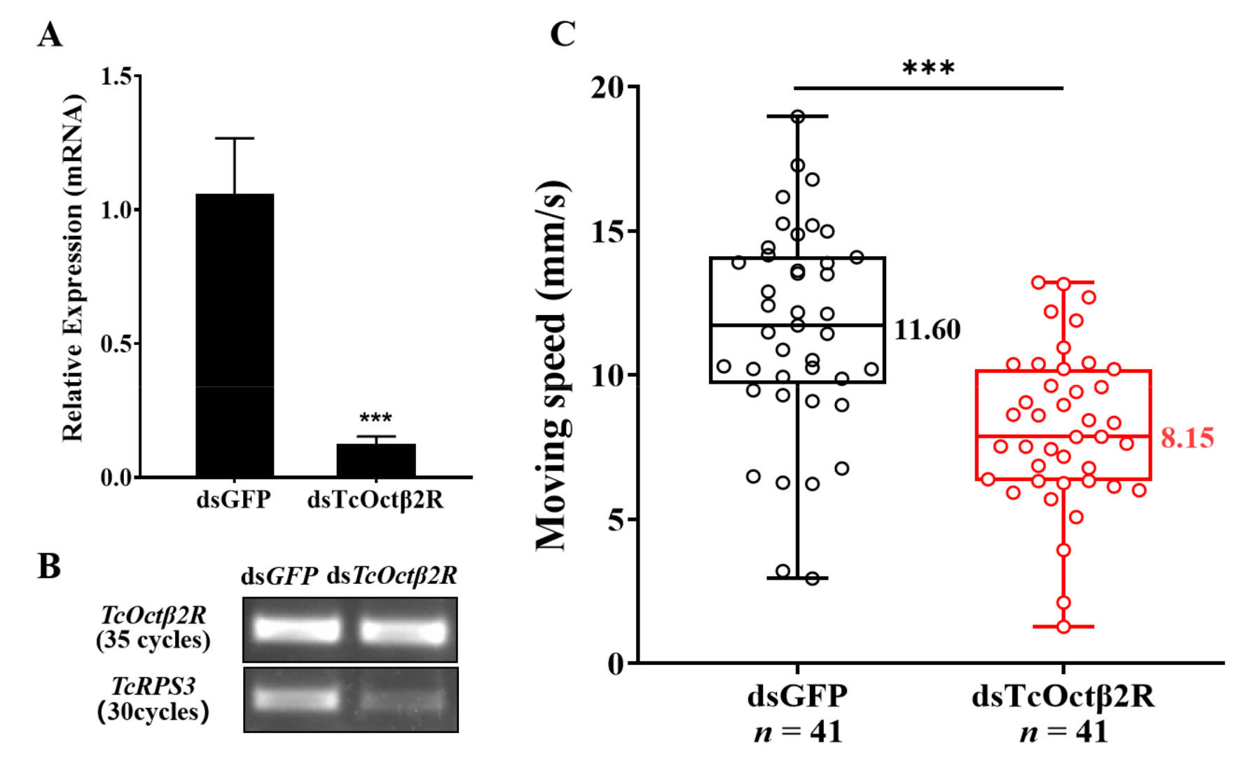 Ijms 22 07252 g005 550