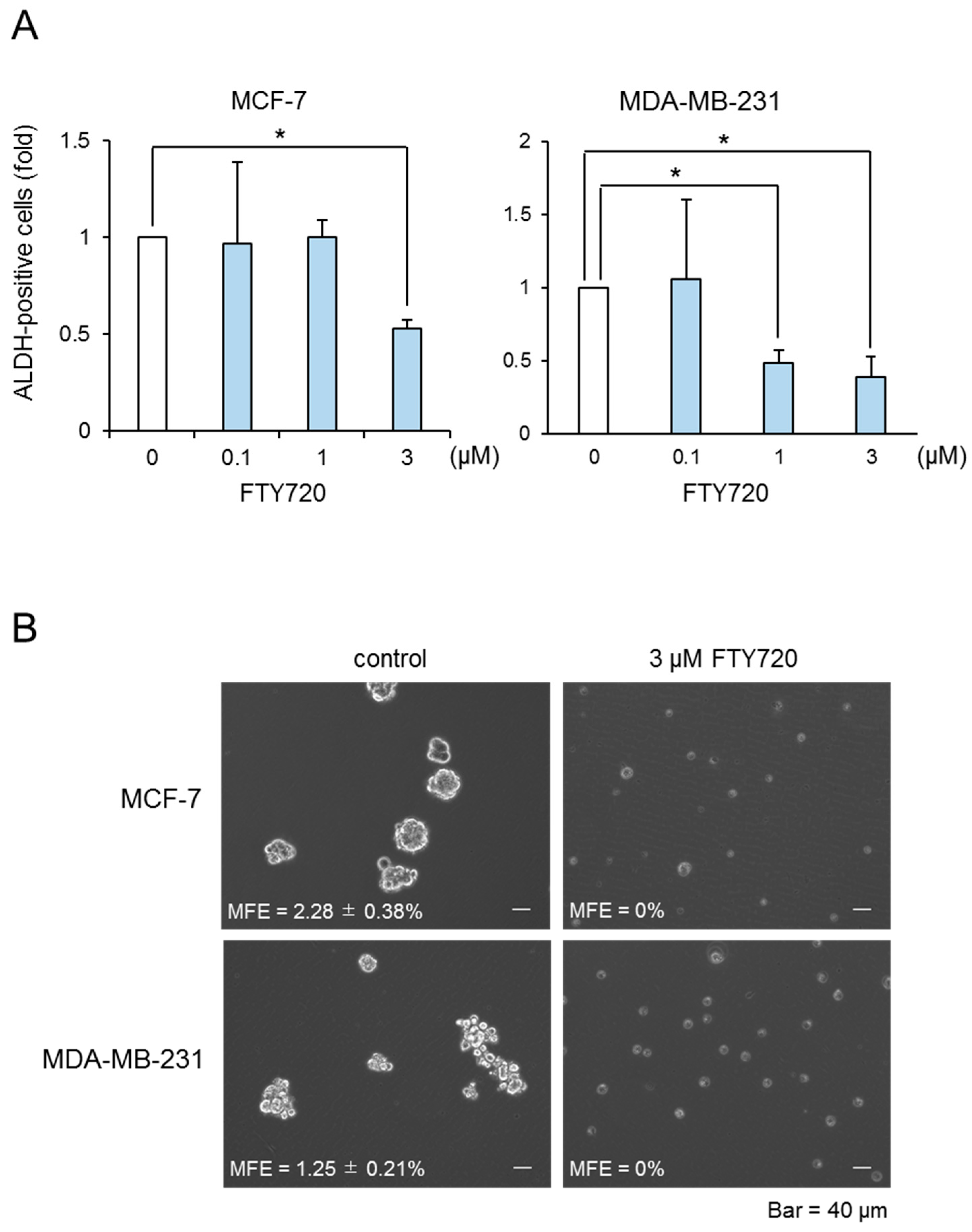 Ijms 22 07259 g001 550
