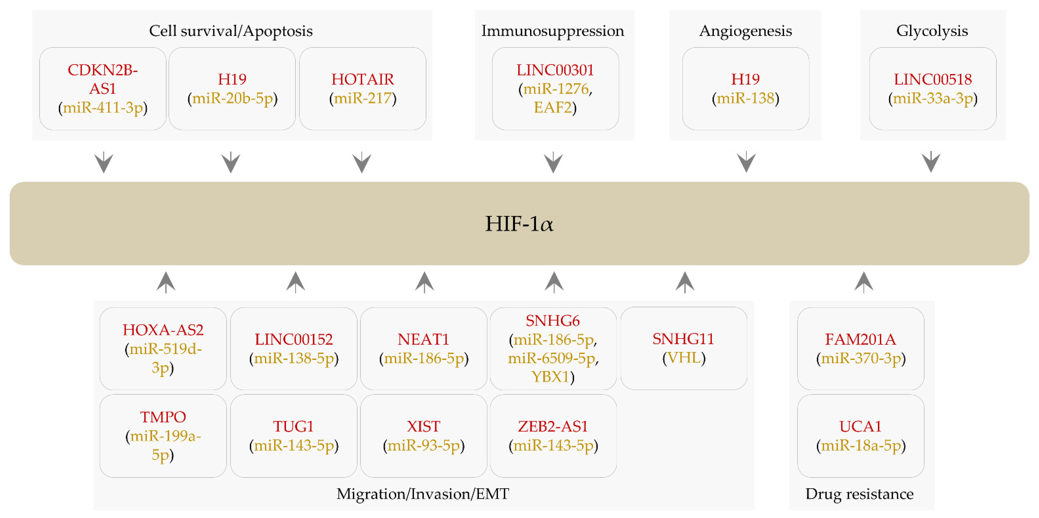 Ijms 22 07261 g002 Ijms 22 07261 g002