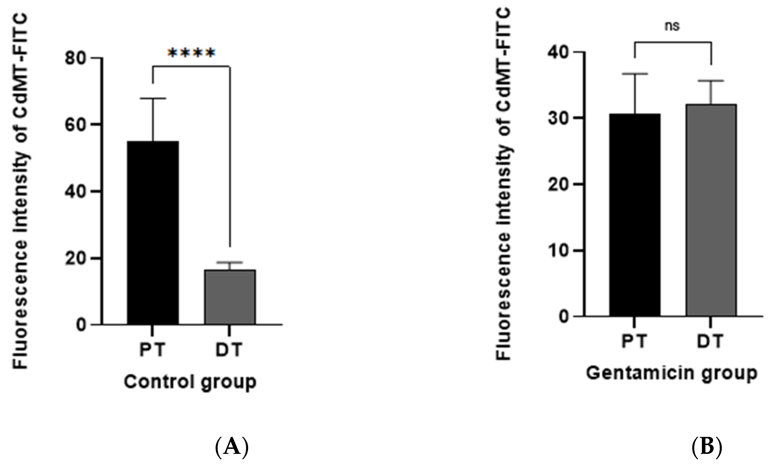 Ijms 22 07262 g012 550