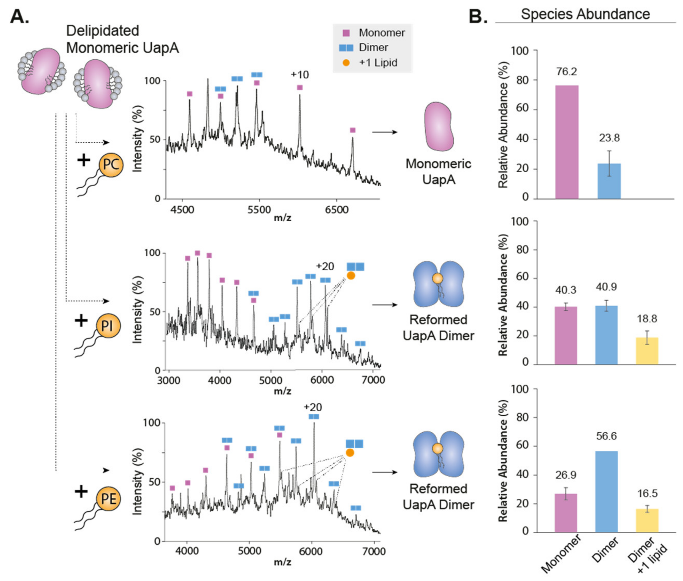 Ijms 22 07267 g002 550