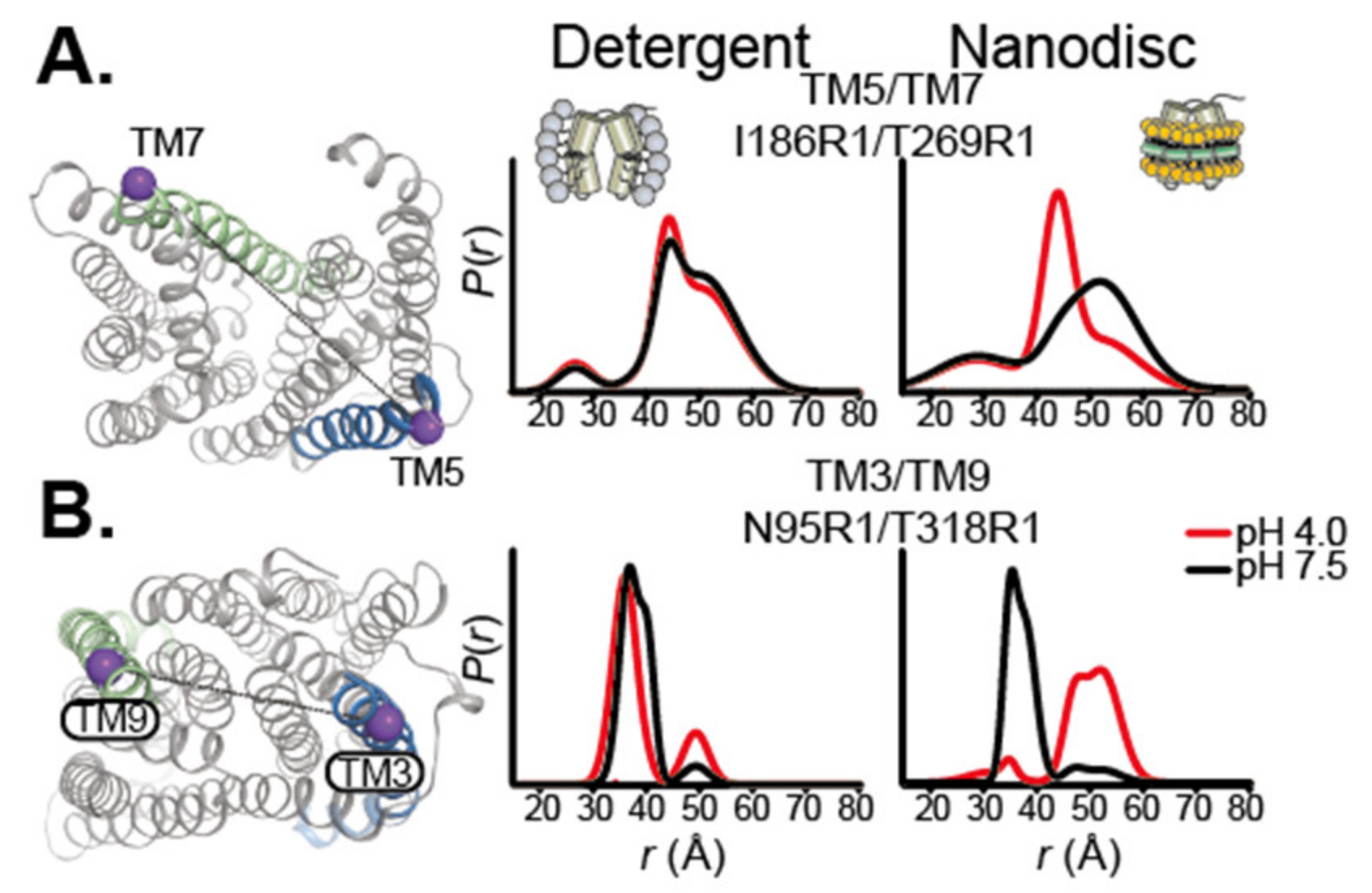 Ijms 22 07267 g003 550