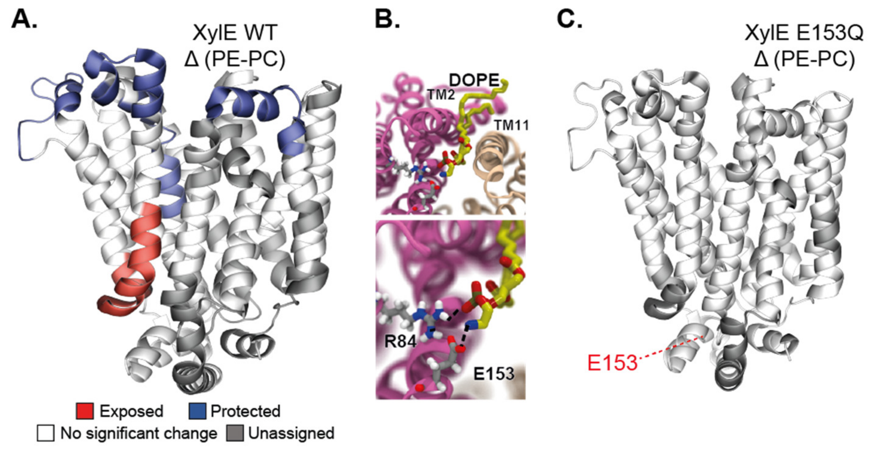 Ijms 22 07267 g004 550