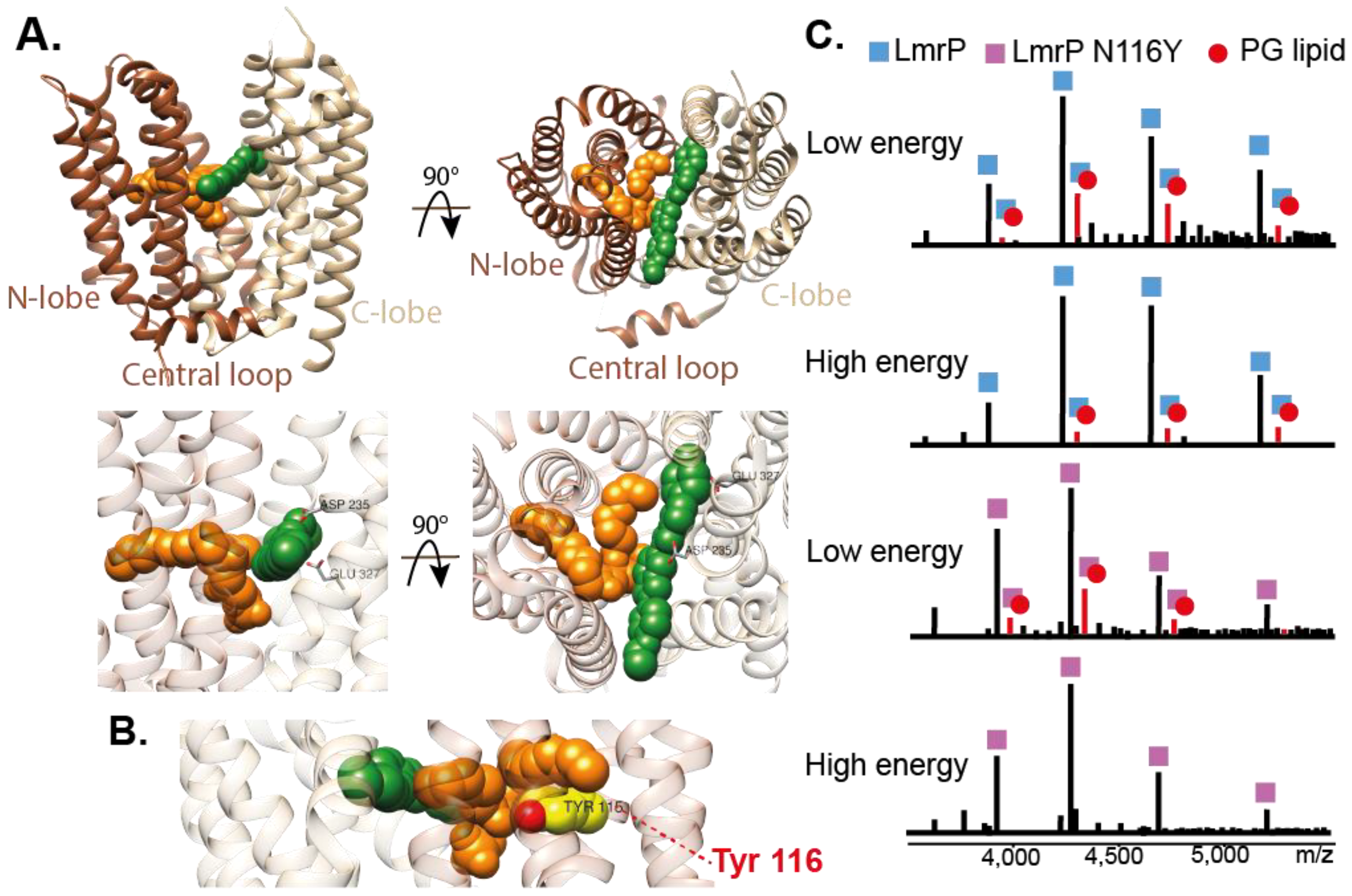 Ijms 22 07267 g005 550