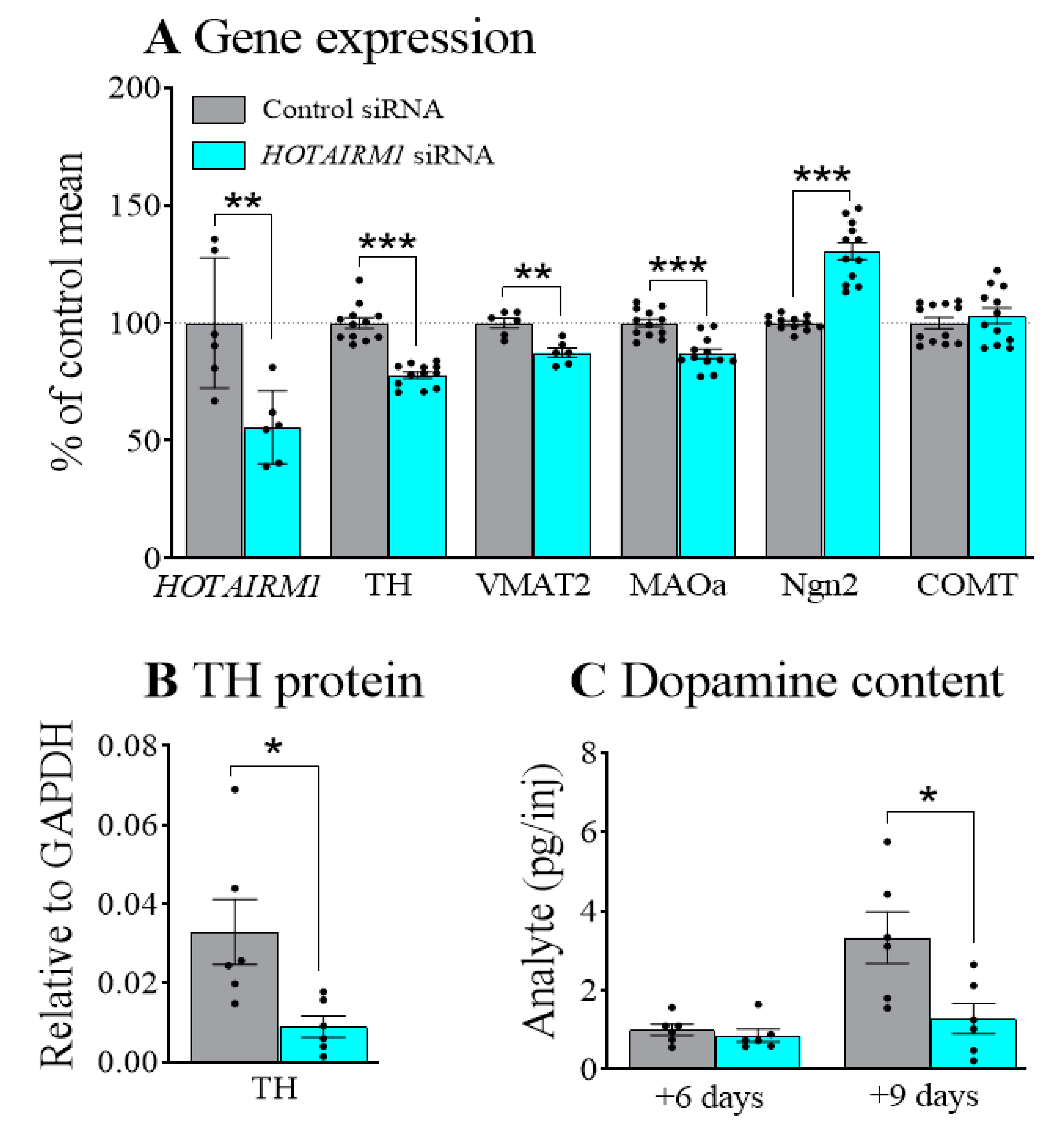 Ijms 22 07268 g001 550