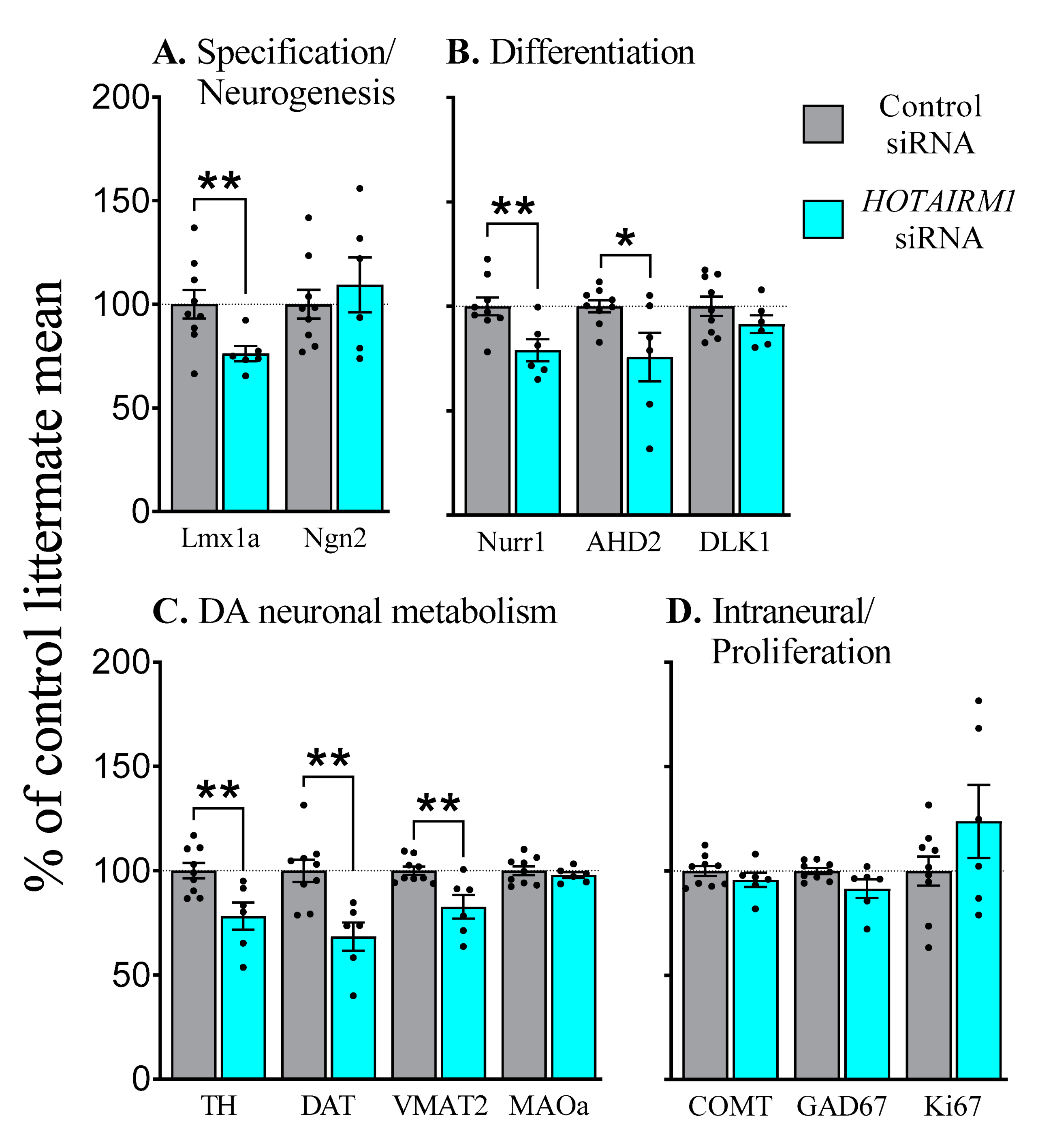 Ijms 22 07268 g005 550