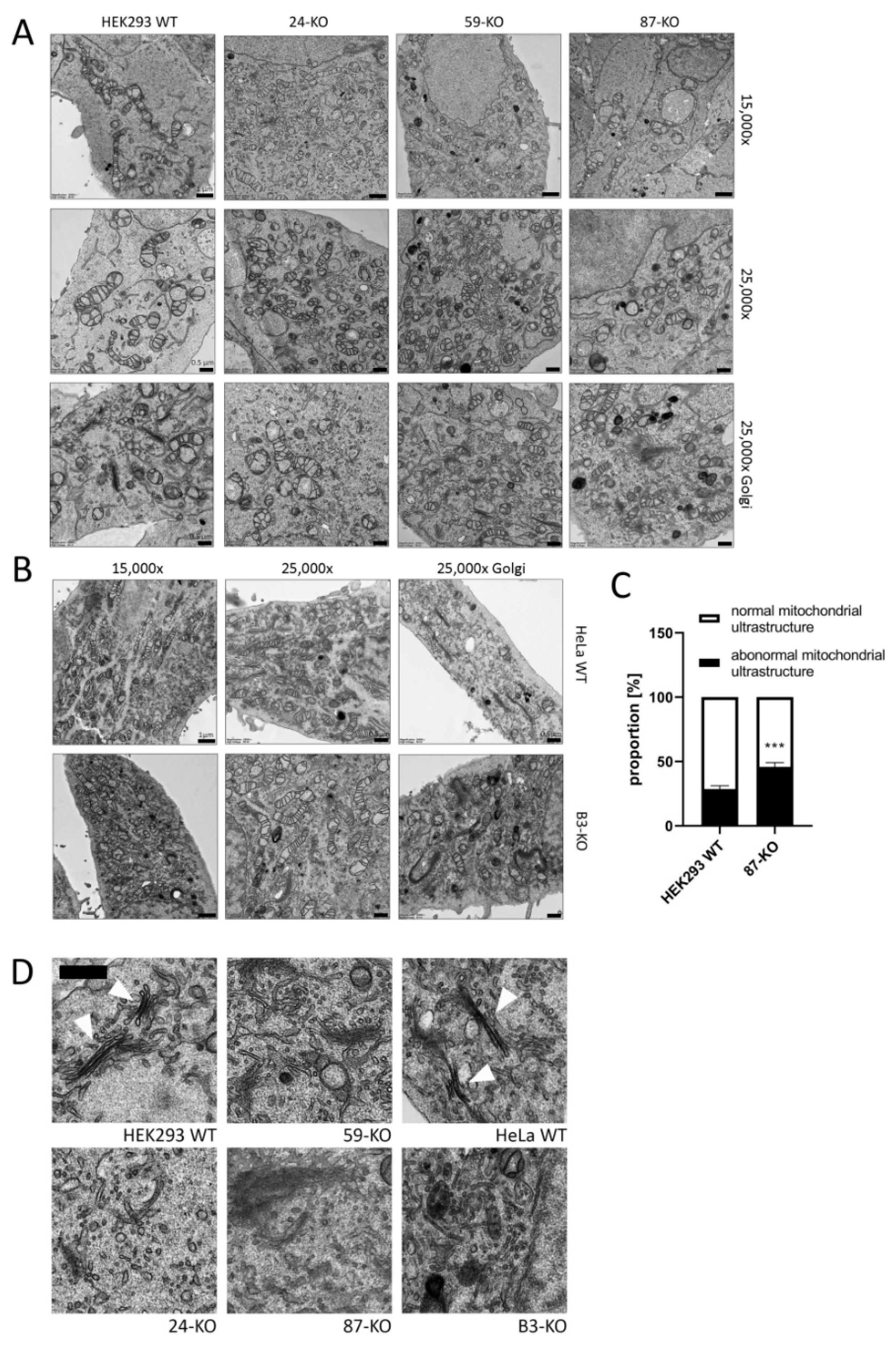 Ijms 22 07270 g002 550