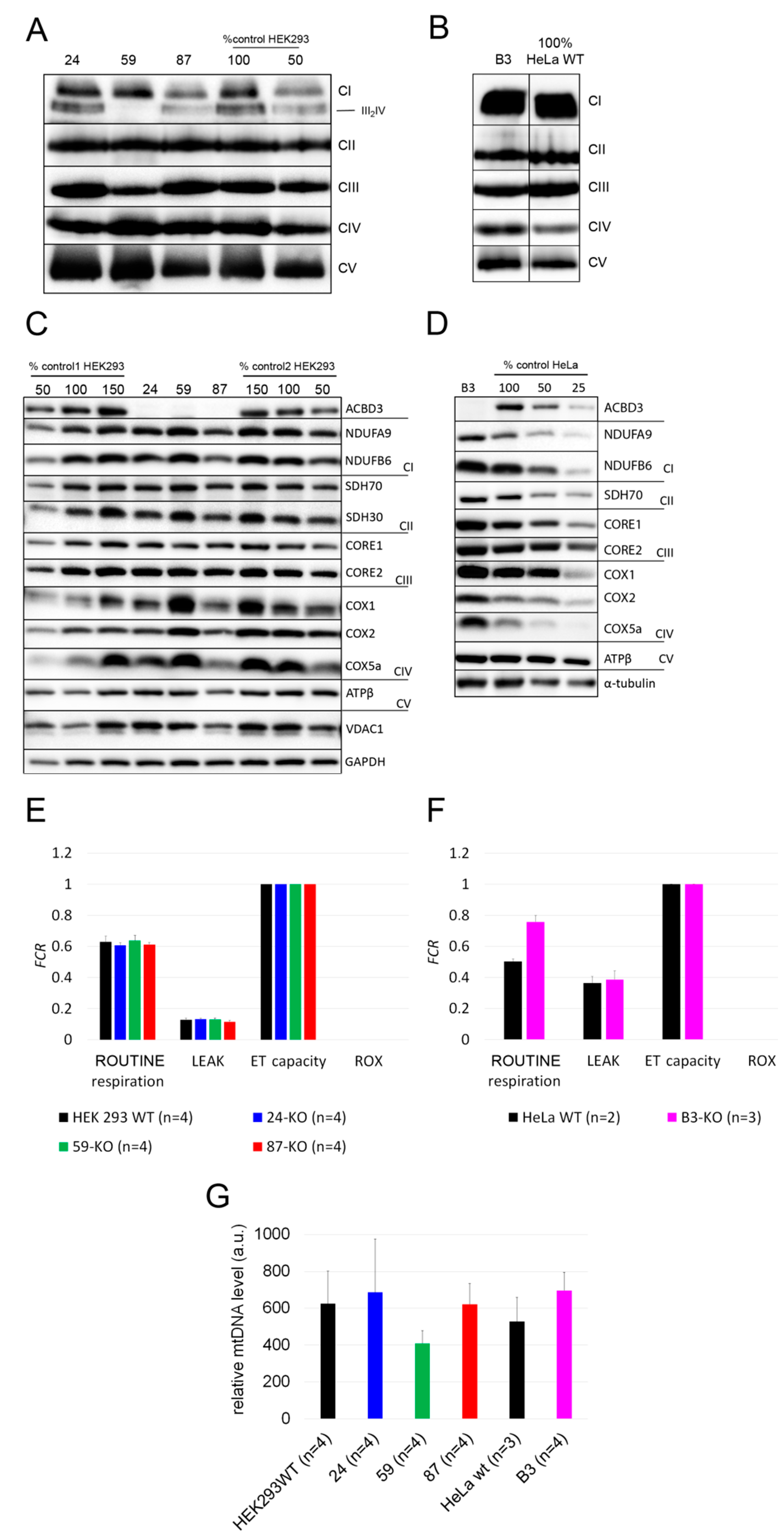 Ijms 22 07270 g004 550