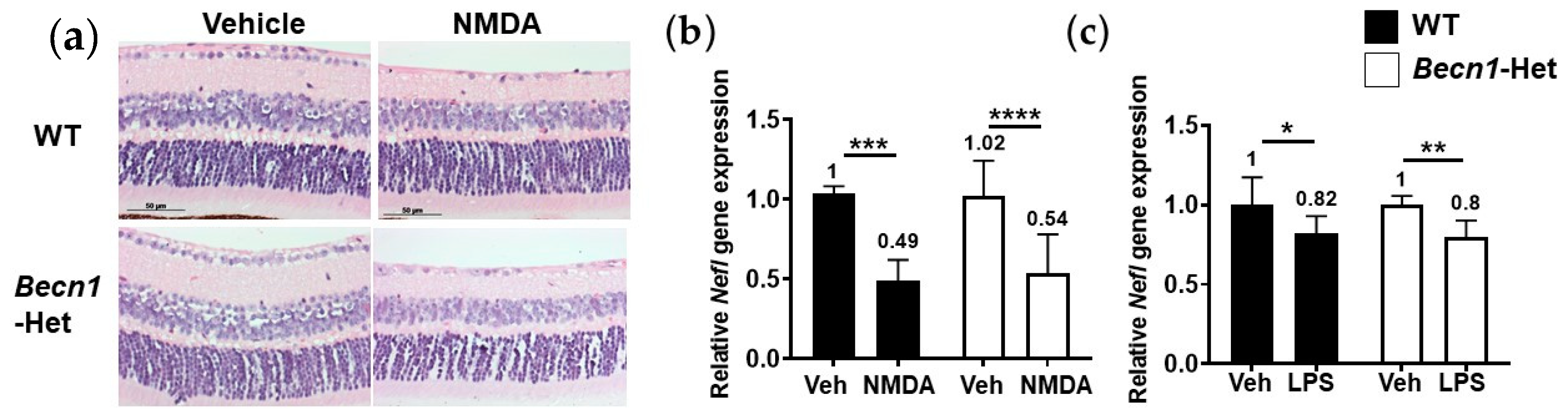 Ijms 22 07271 g004 Ijms 22 07271 g004