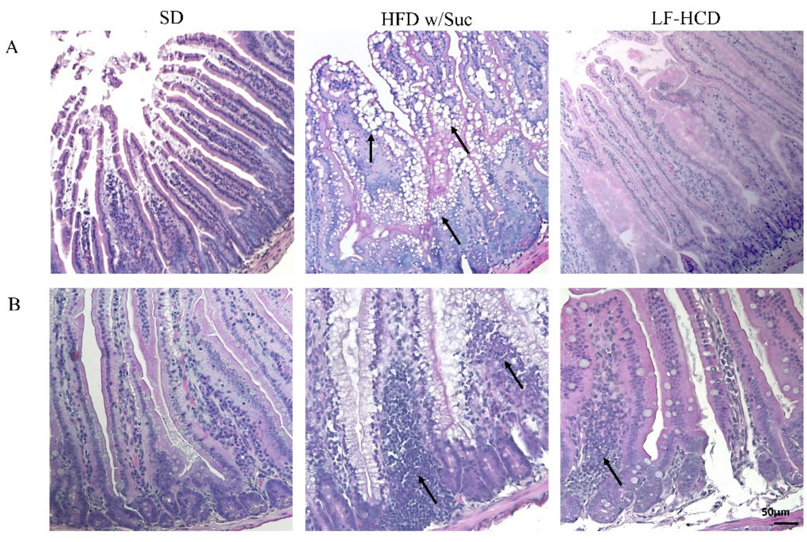 Ijms 22 07280 g001 550