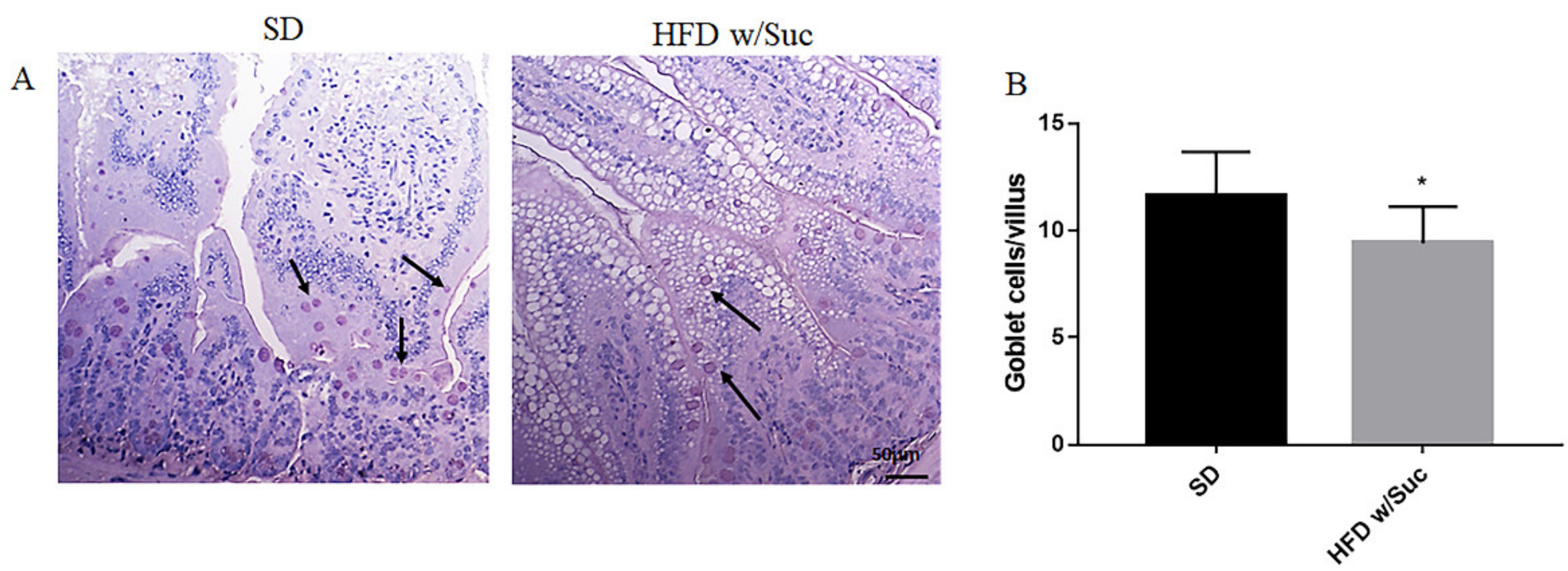 Ijms 22 07280 g002 550