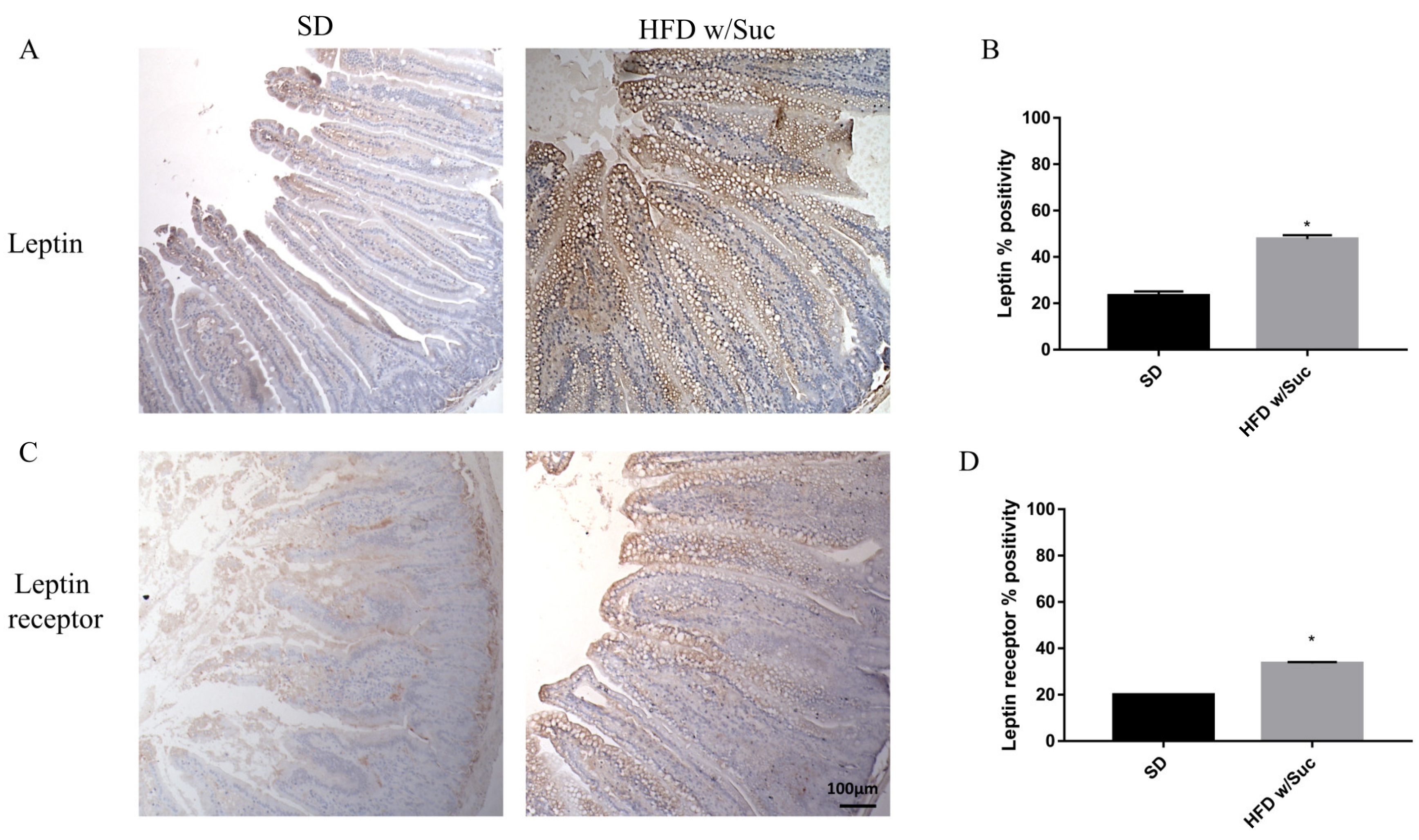 Ijms 22 07280 g005 550