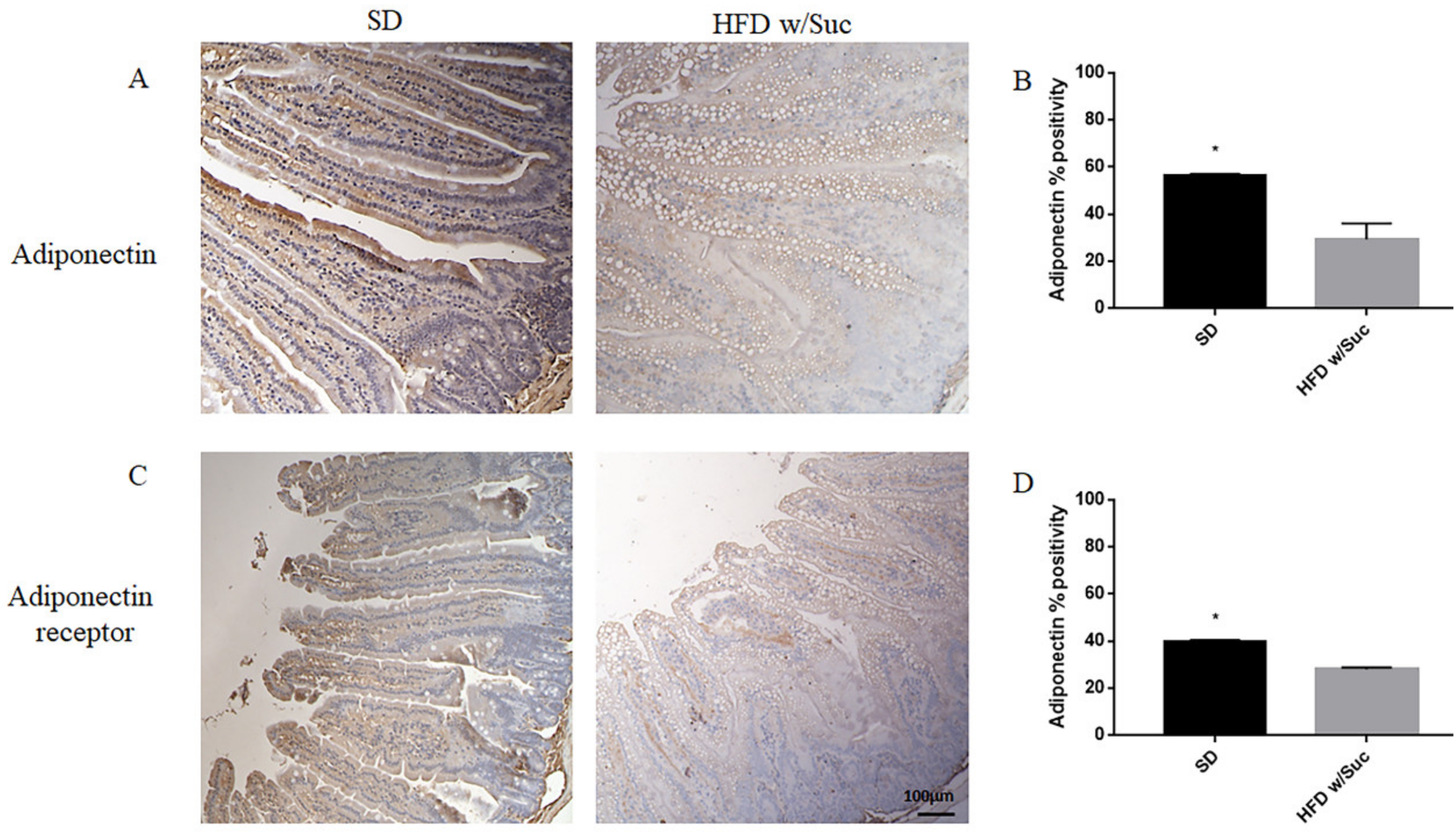 Ijms 22 07280 g006 550