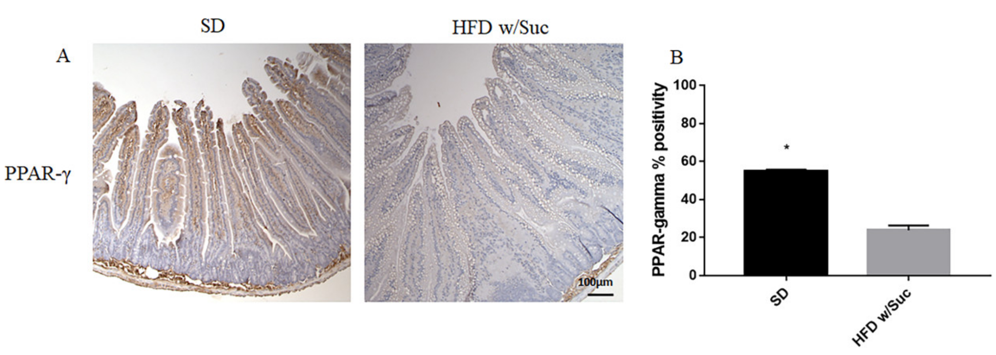 Ijms 22 07280 g007 550