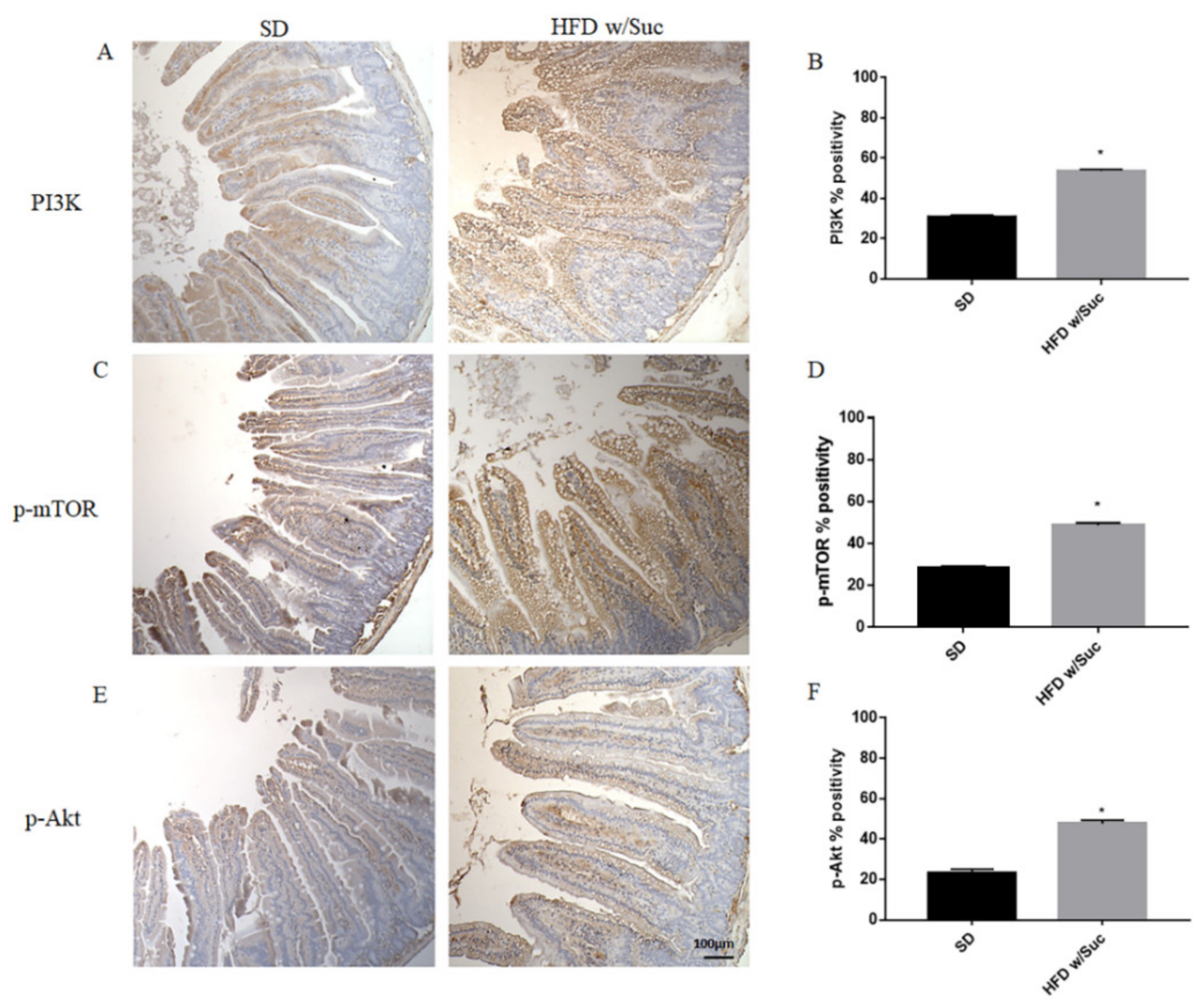 Ijms 22 07280 g008 550