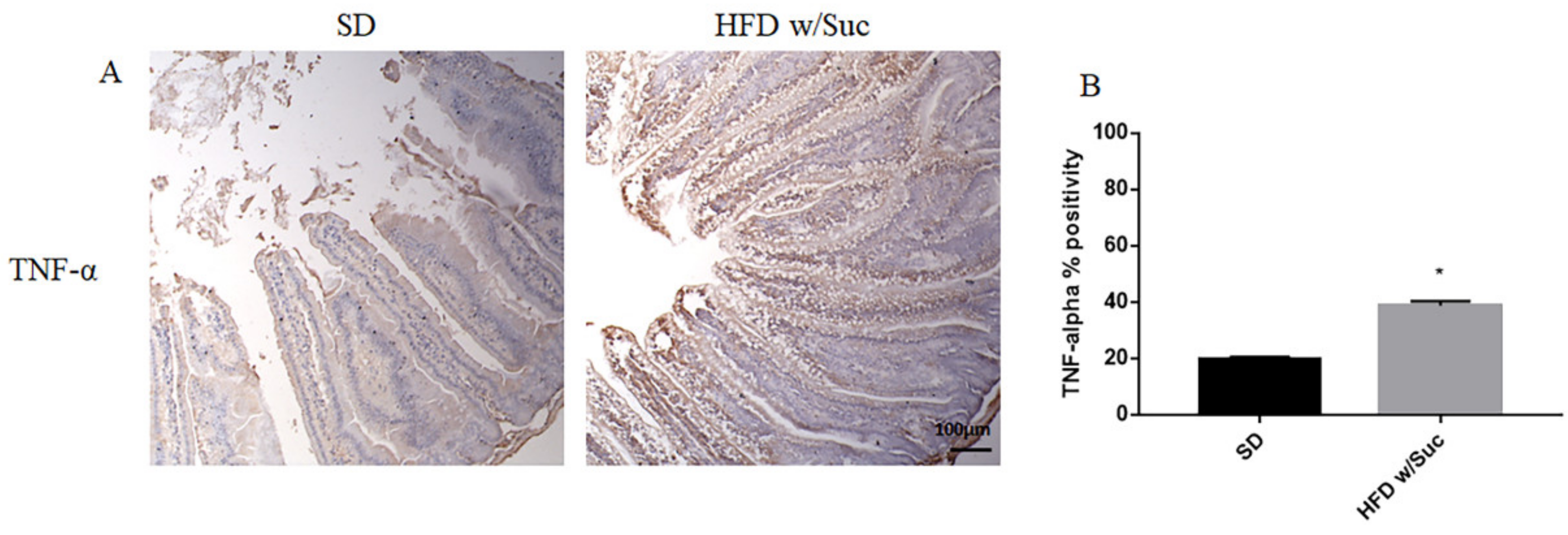 Ijms 22 07280 g009 550