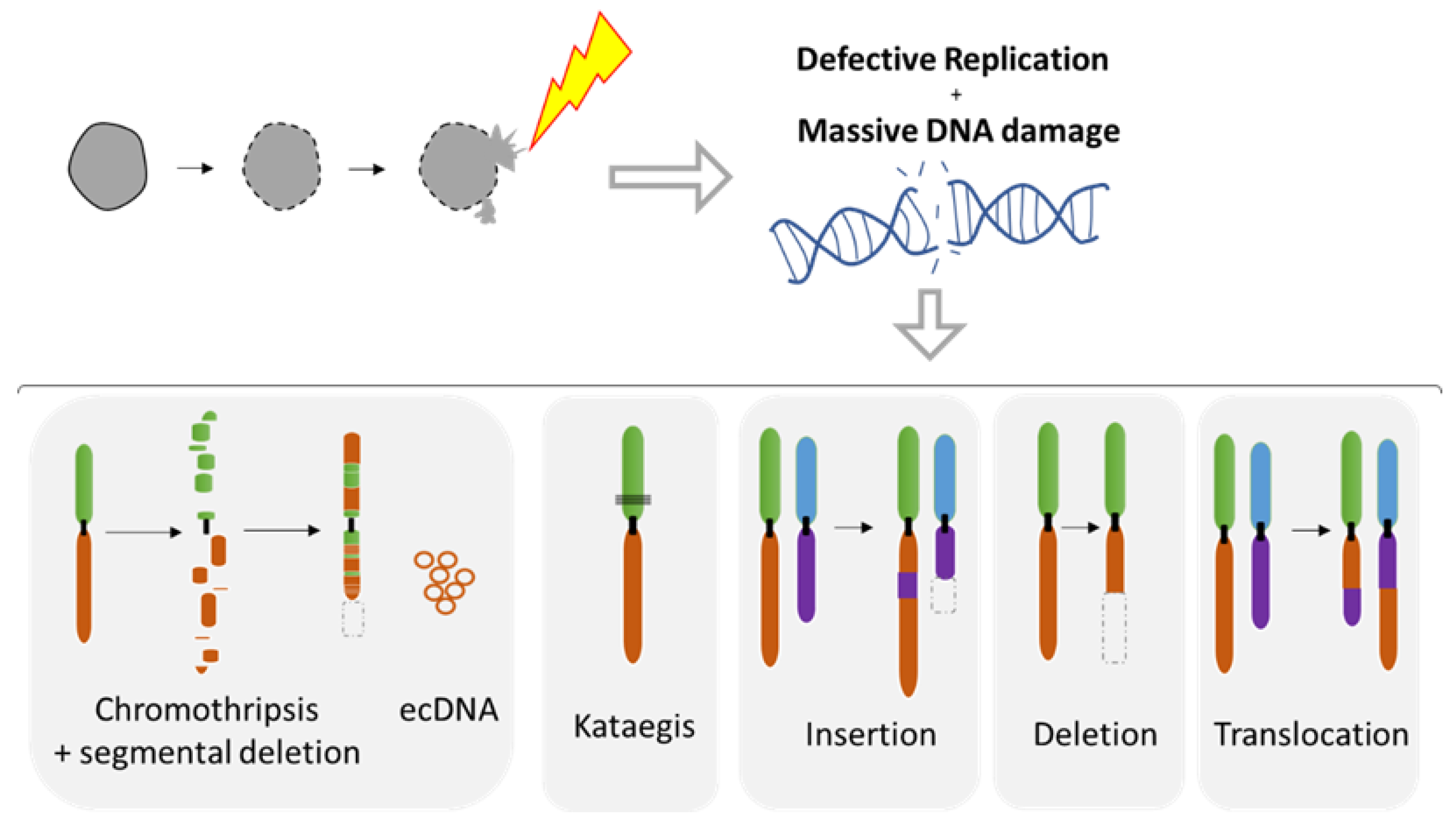Ijms 22 07281 g007 Ijms 22 07281 g007