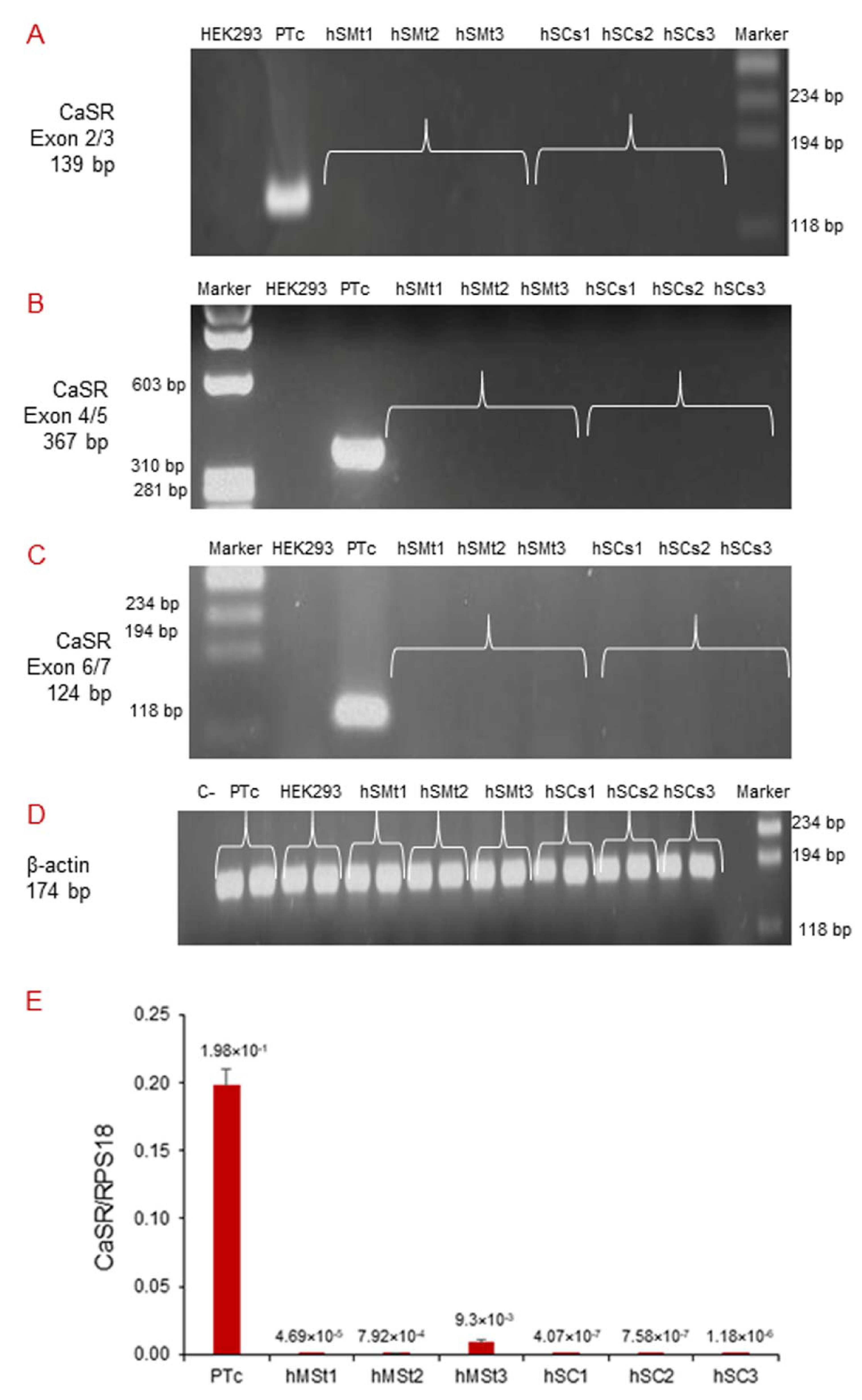 Ijms 22 07282 g003 550