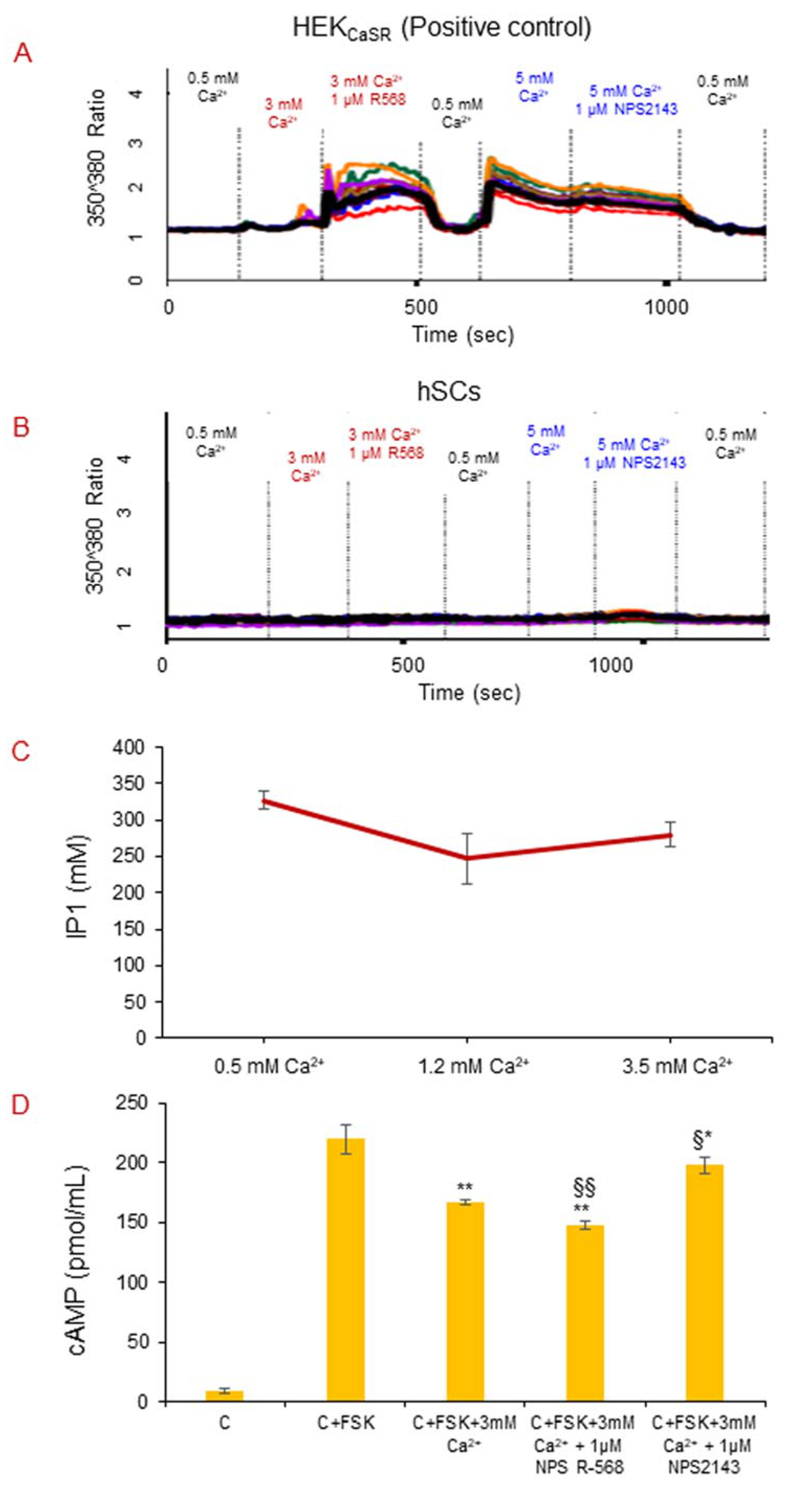 Ijms 22 07282 g008 550
