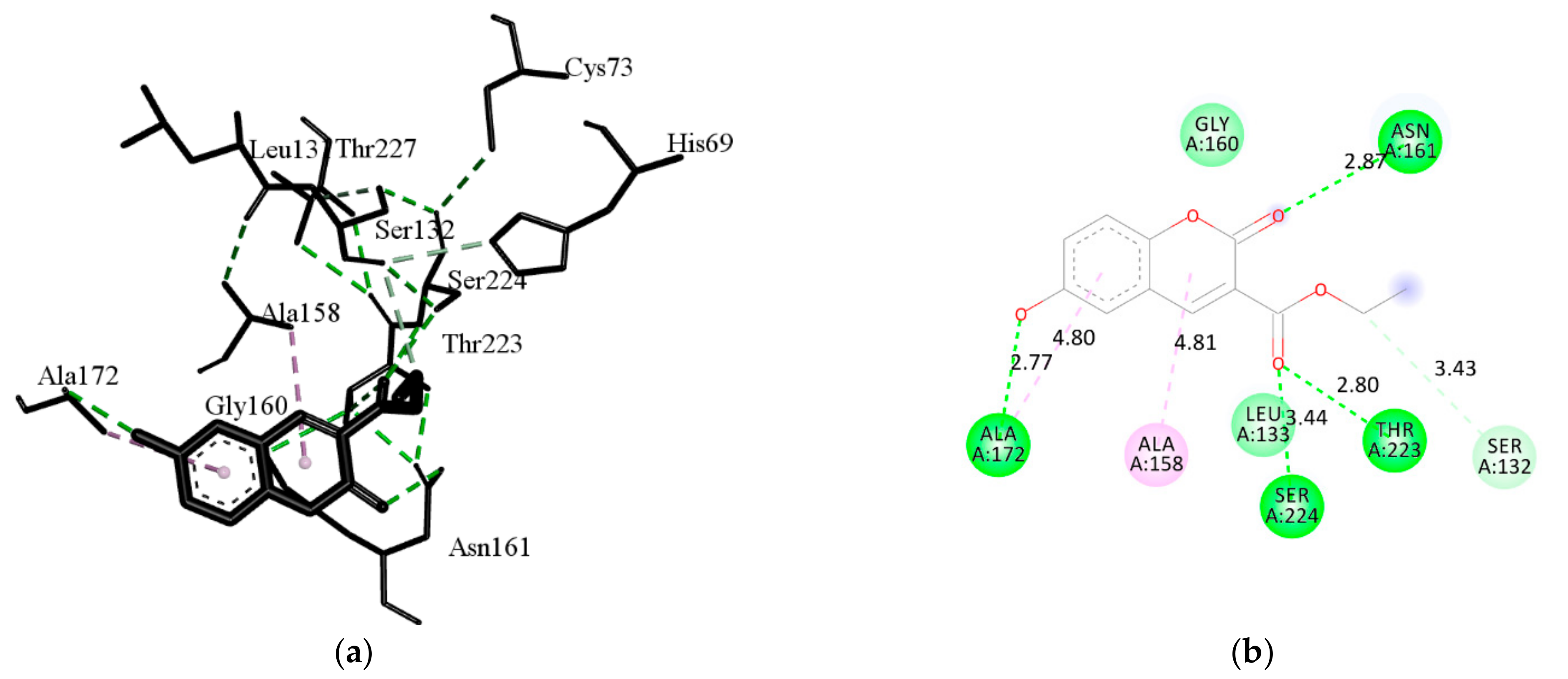 Ijms 22 07283 g005 Ijms 22 07283 g005