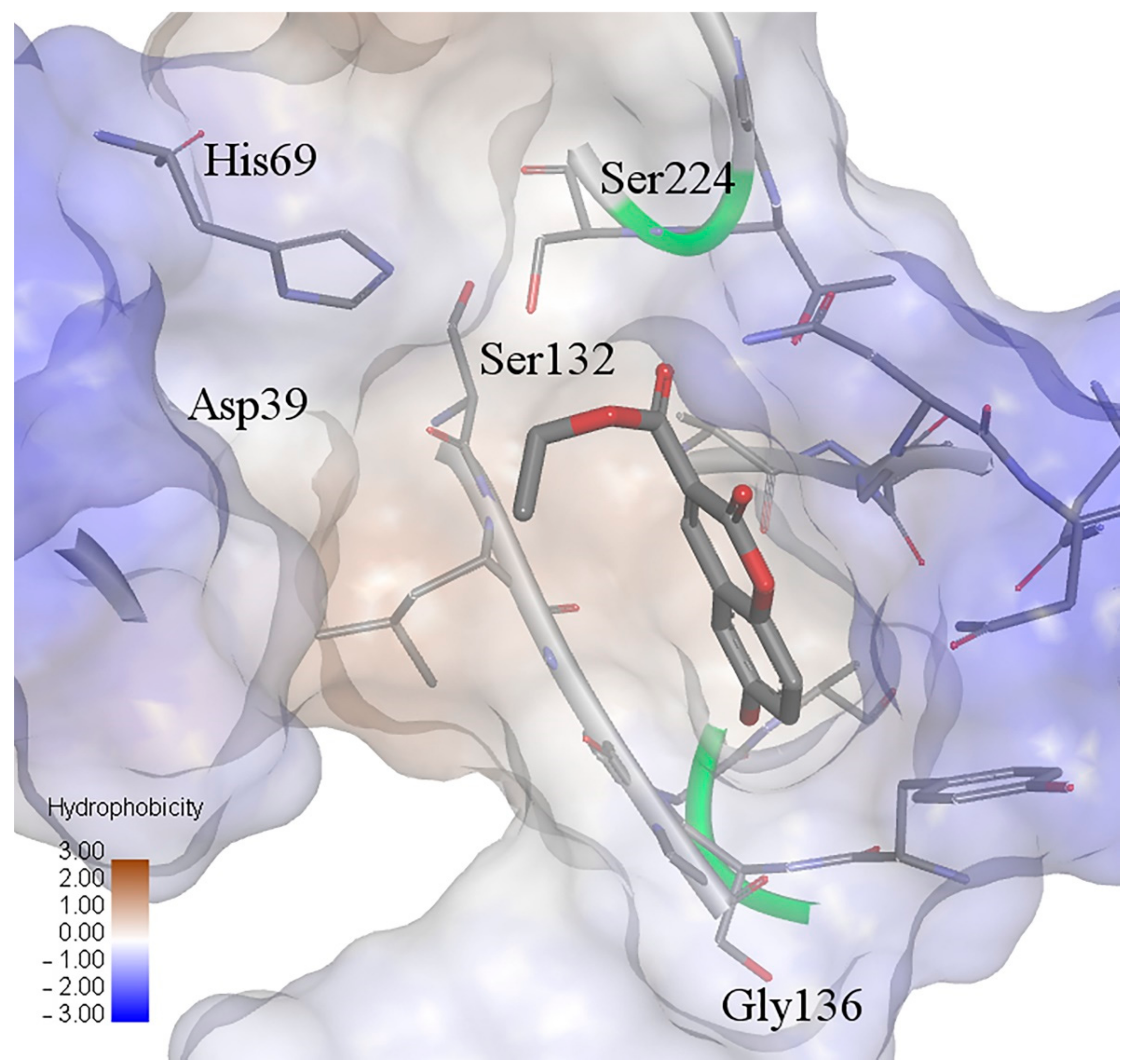 Ijms 22 07283 g006 Ijms 22 07283 g006