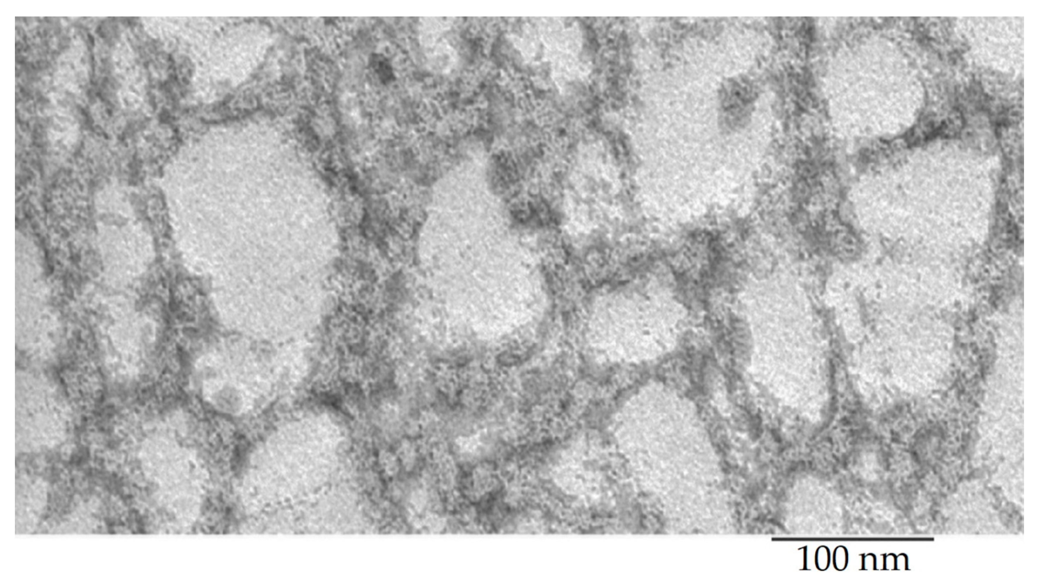 Ijms 22 07291 g002 550