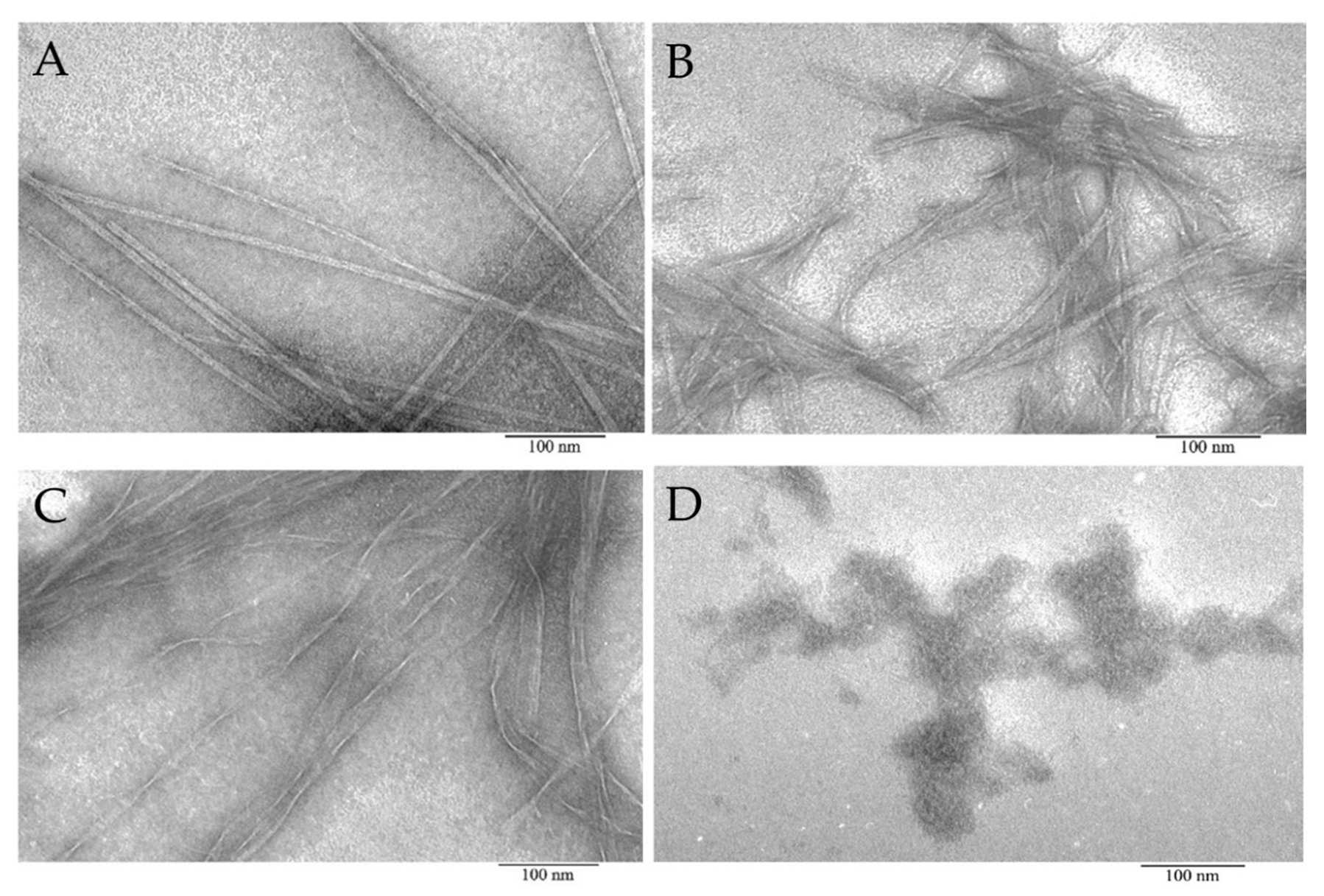 Ijms 22 07291 g003 550