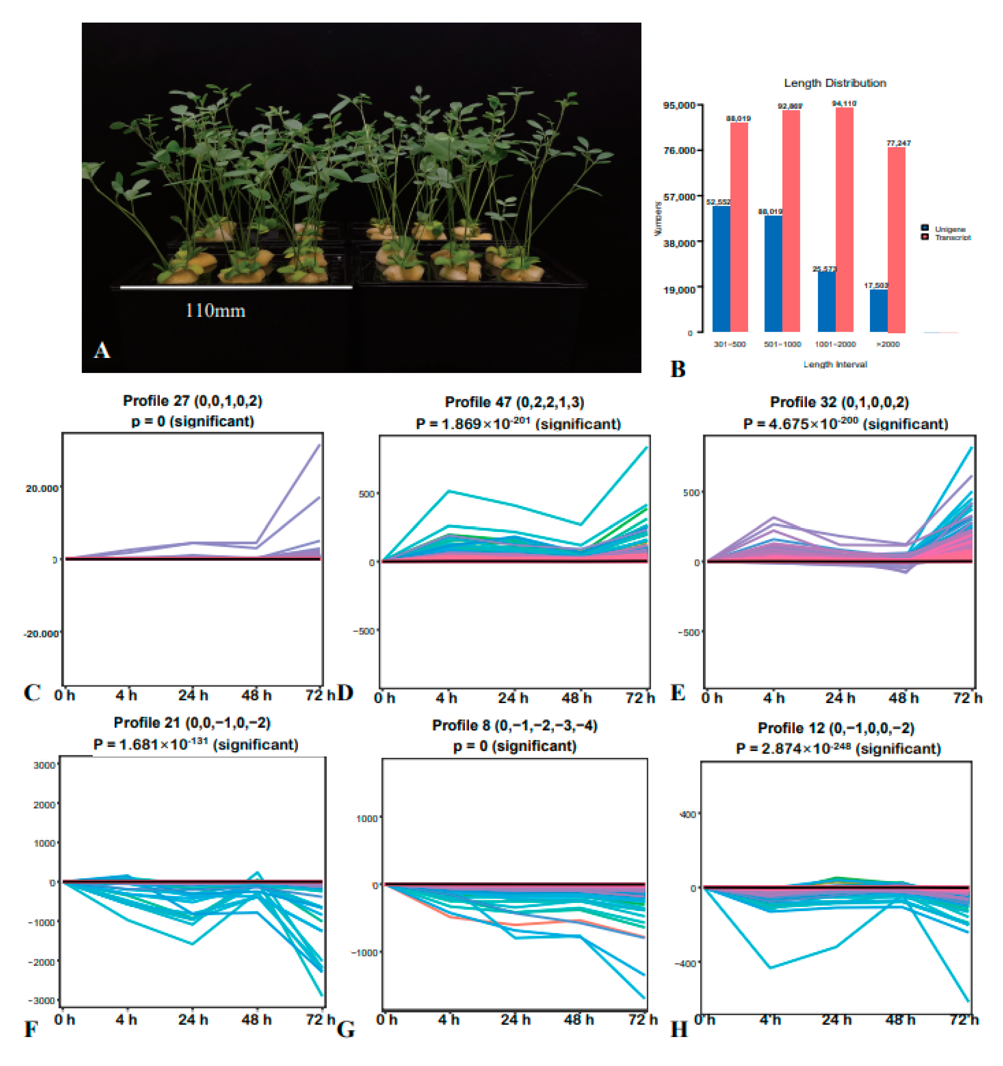 Ijms 22 07313 g001 550