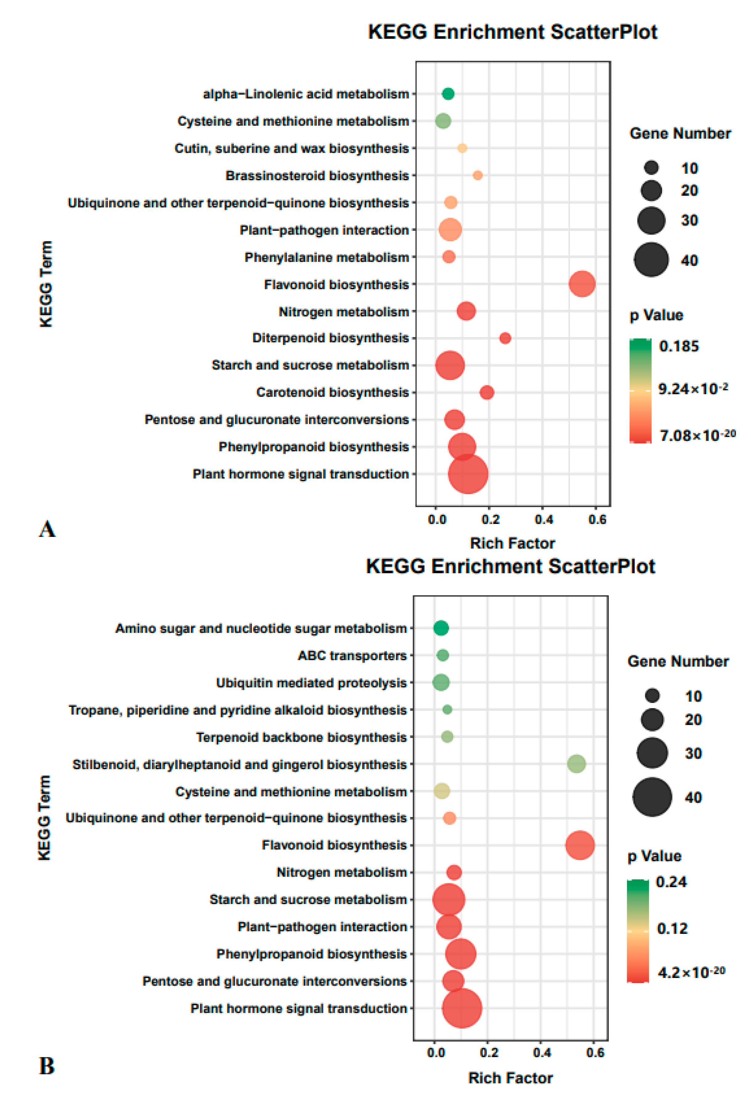 Ijms 22 07313 g003 550