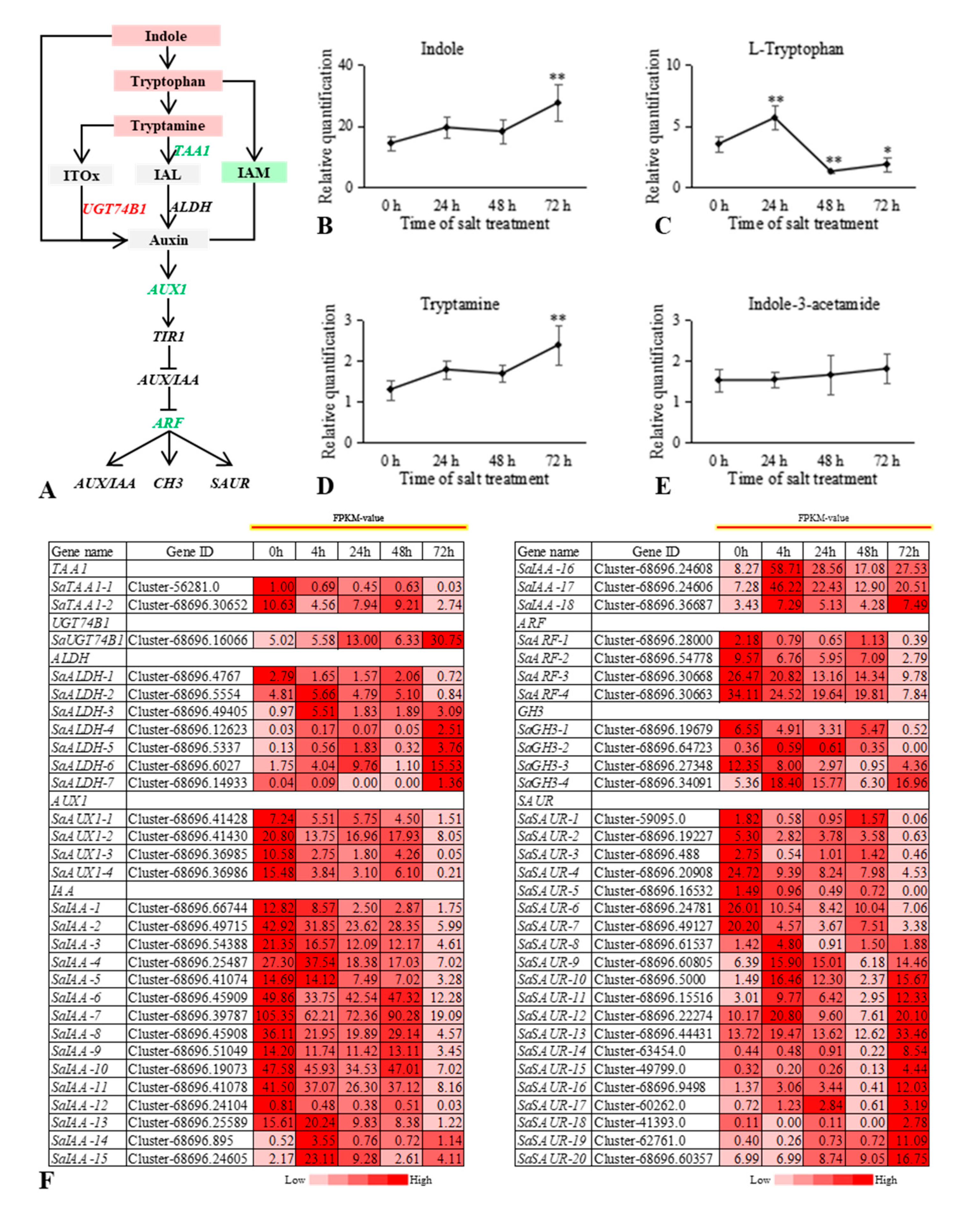 Ijms 22 07313 g004 550