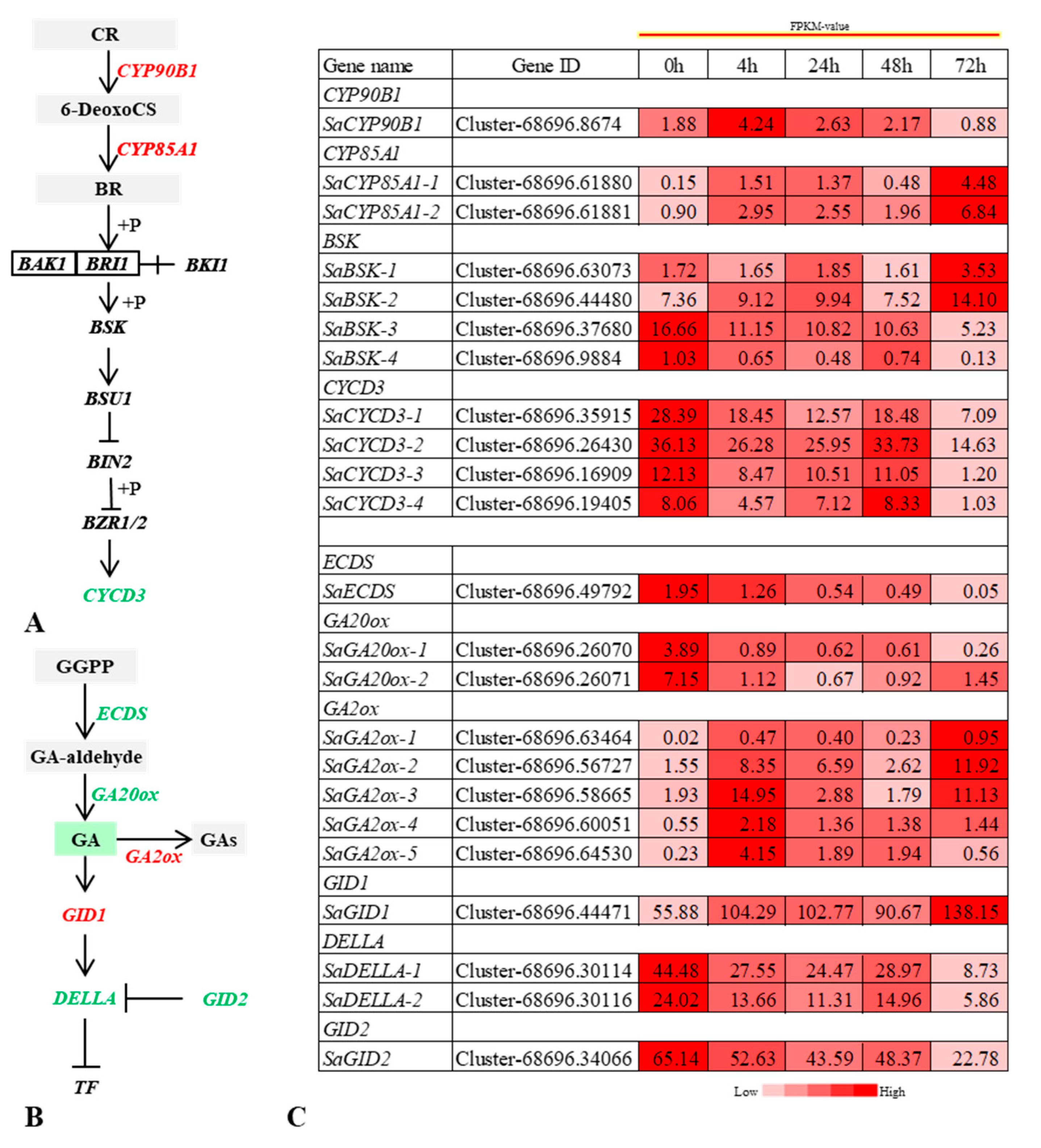 Ijms 22 07313 g006 550