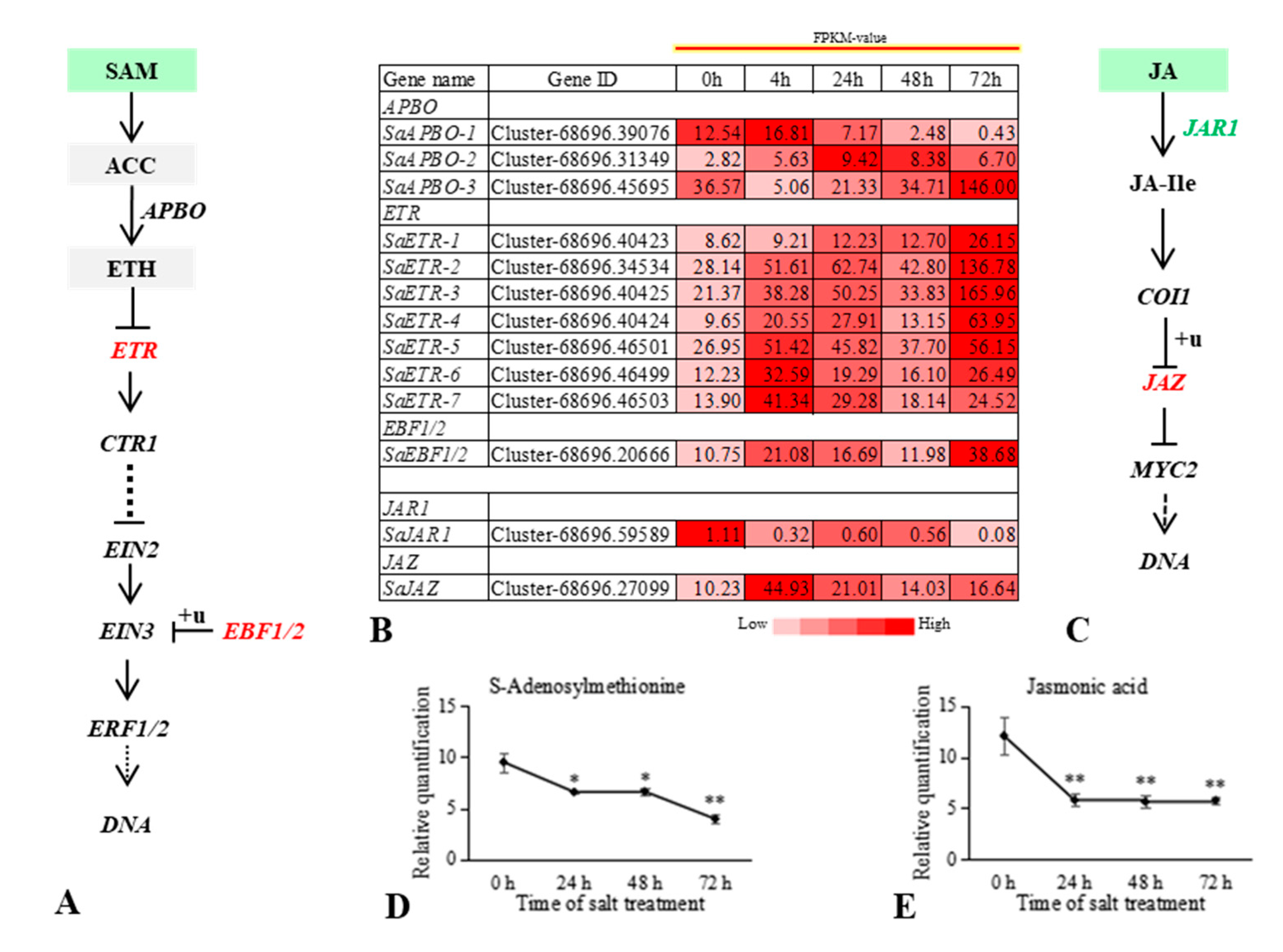 Ijms 22 07313 g007 550