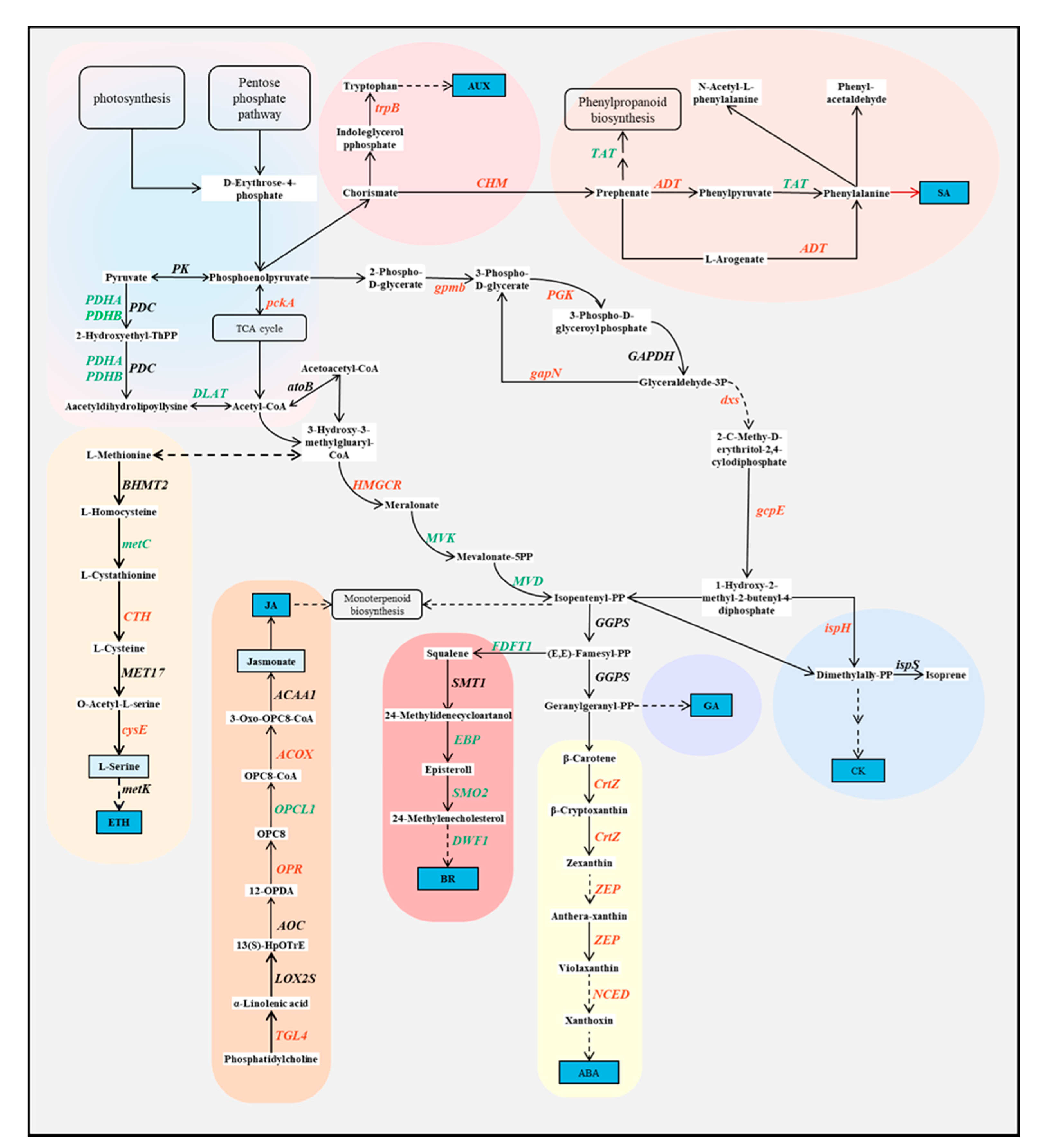 Ijms 22 07313 g009 550