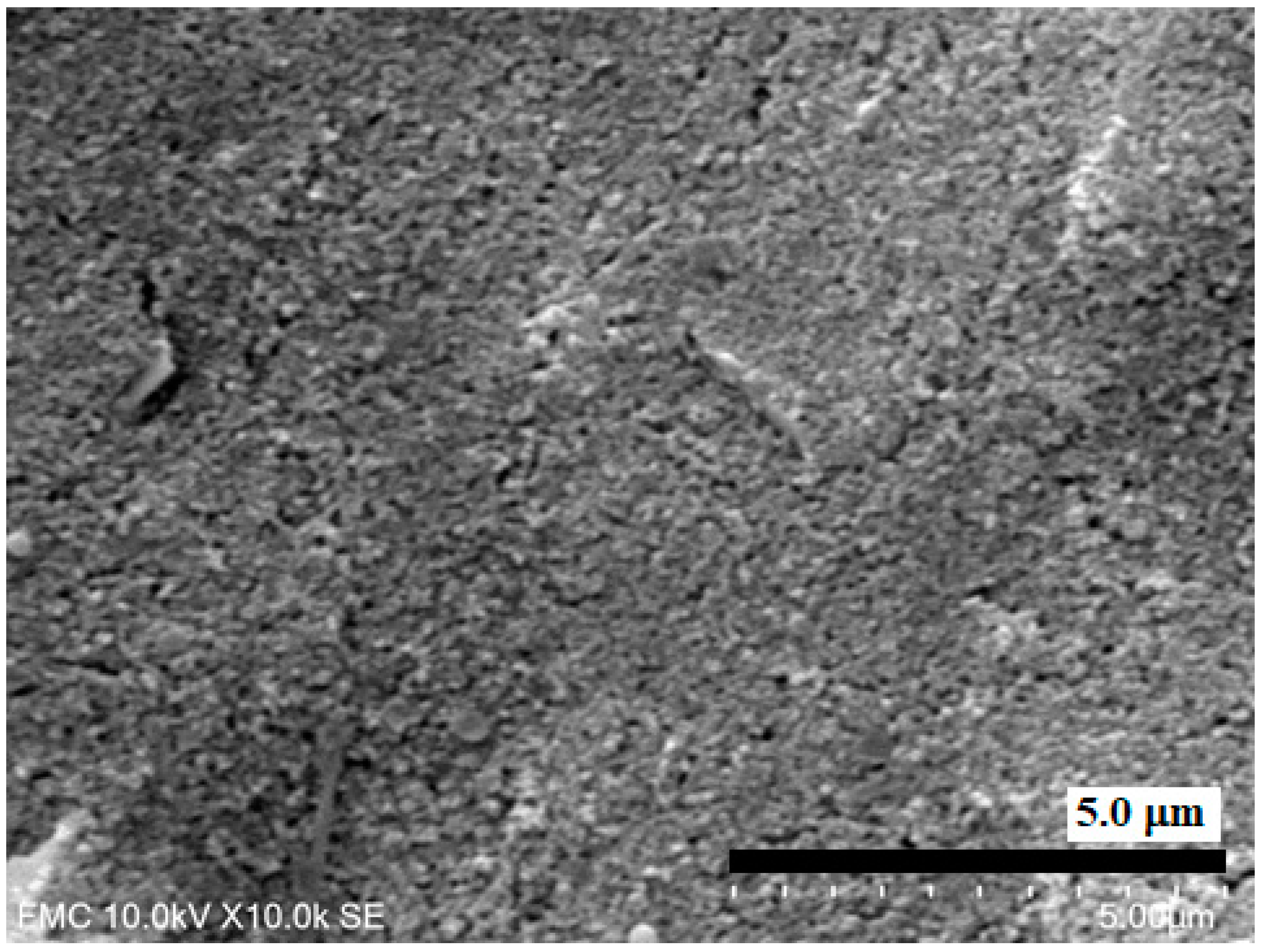 Ijms 22 07315 g008 550