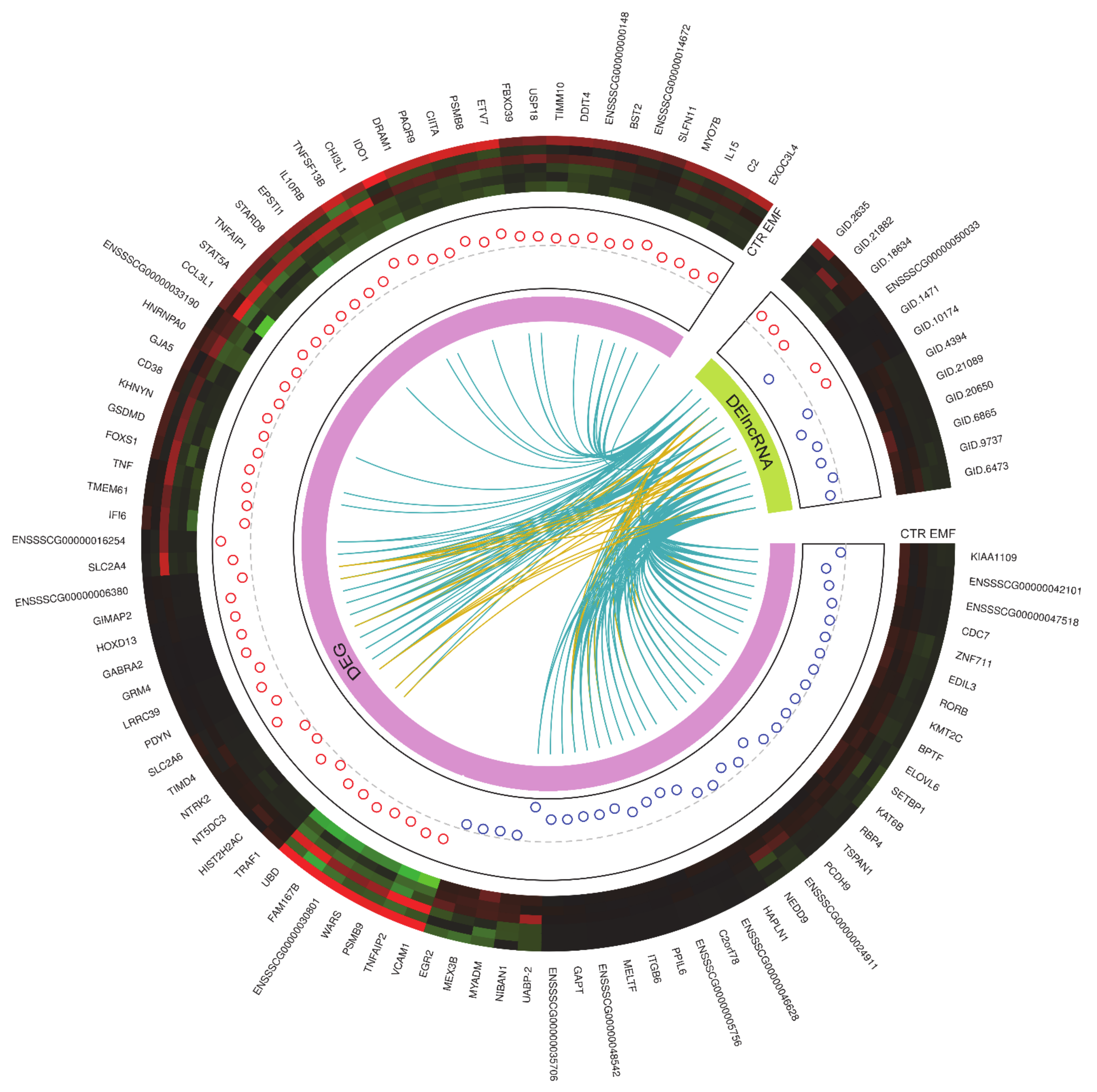 Ijms 22 07322 g002 Ijms 22 07322 g002