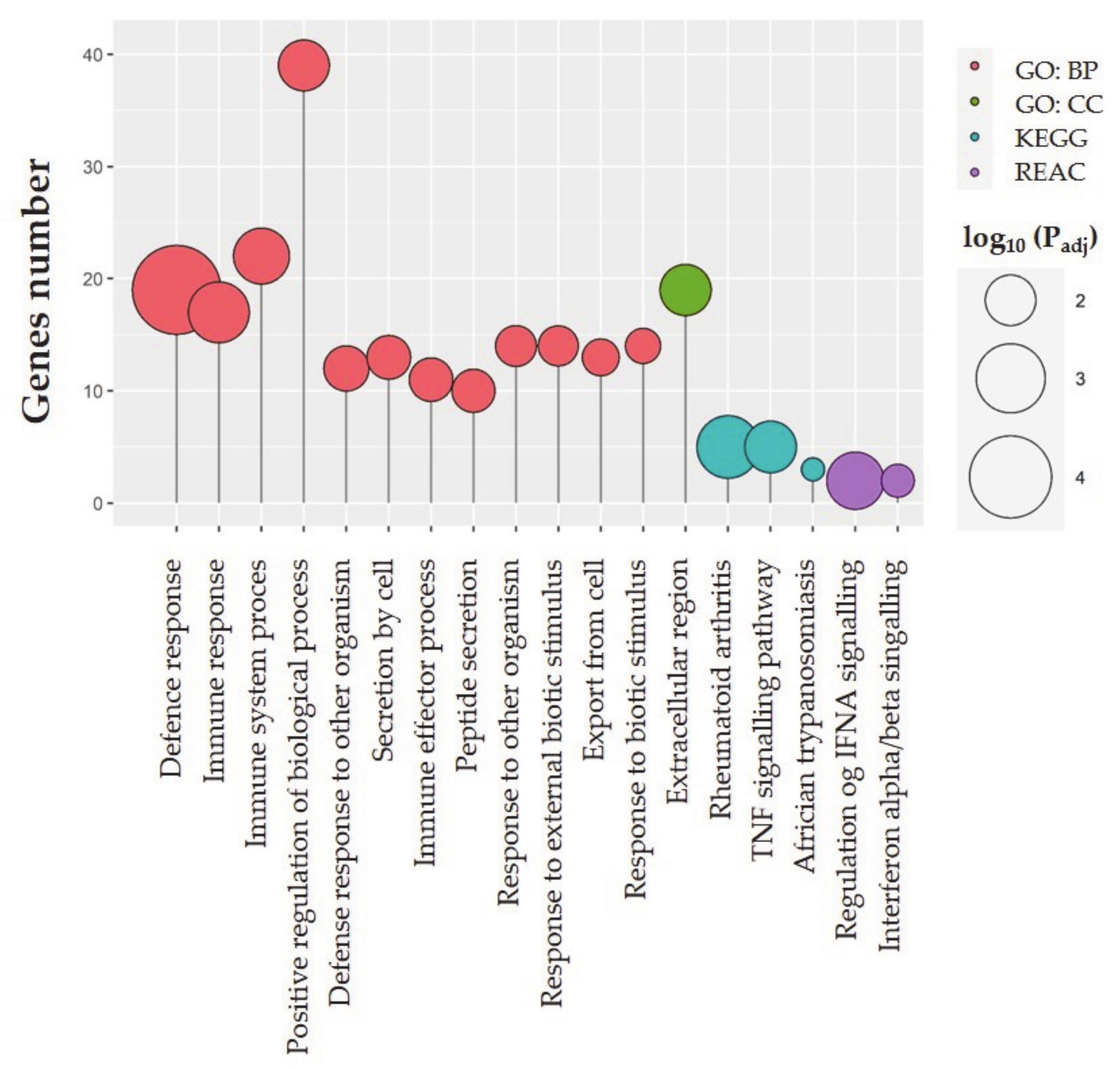 Ijms 22 07322 g003 Ijms 22 07322 g003