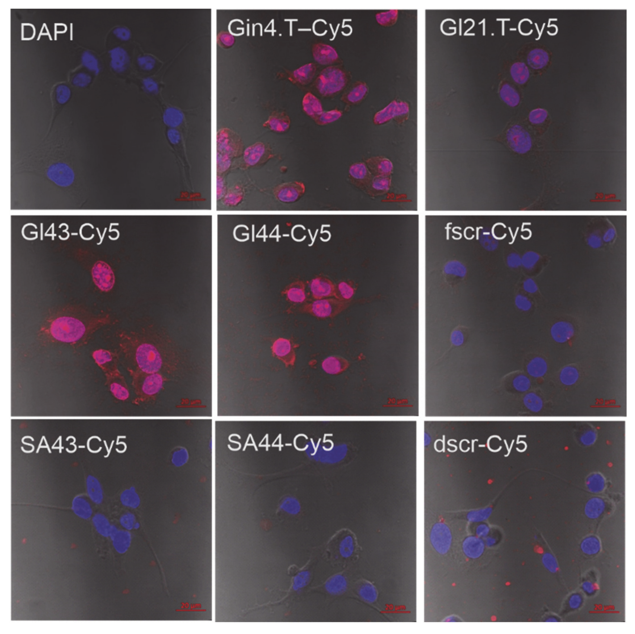 Ijms 22 07326 g001 550