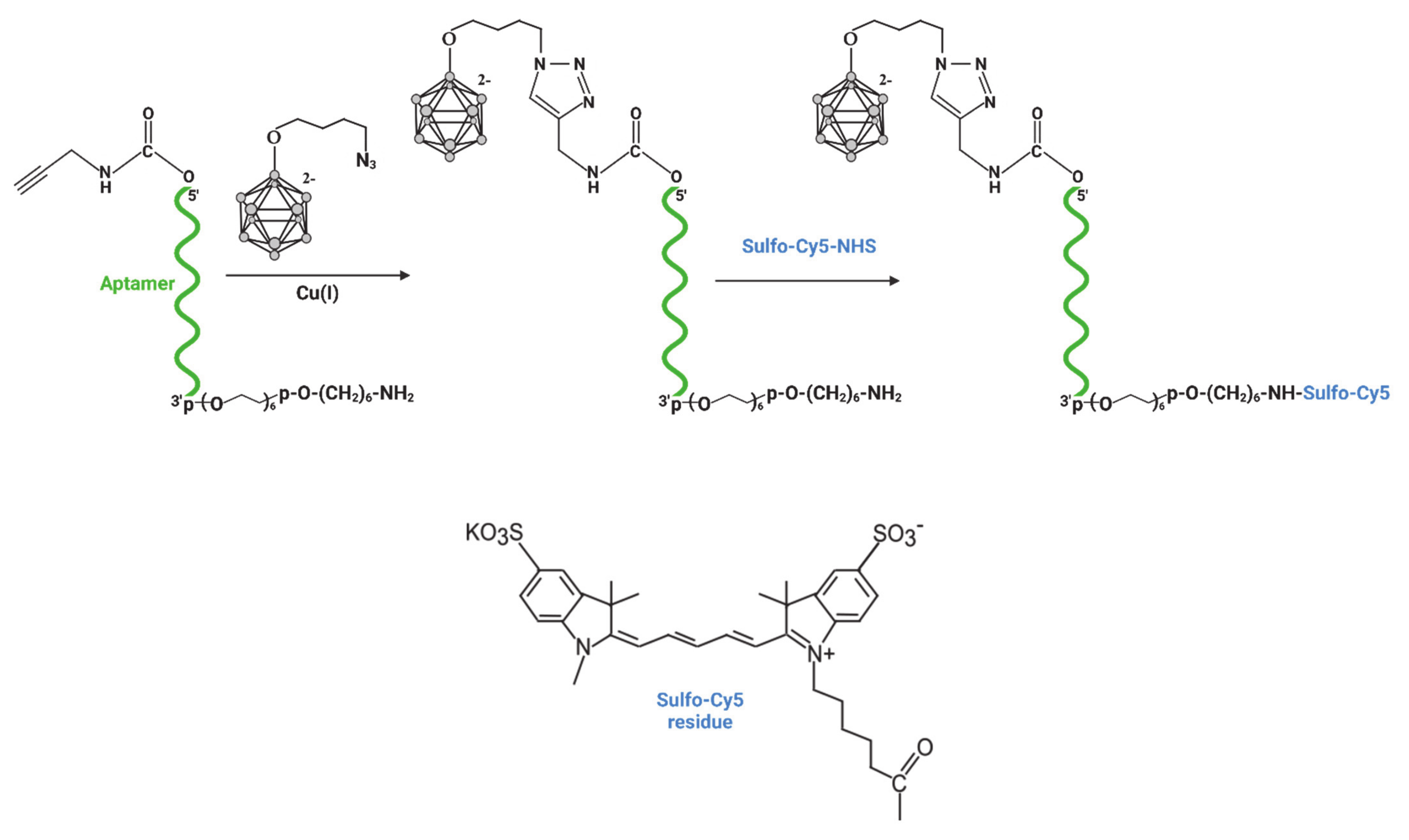 Ijms 22 07326 g002 550