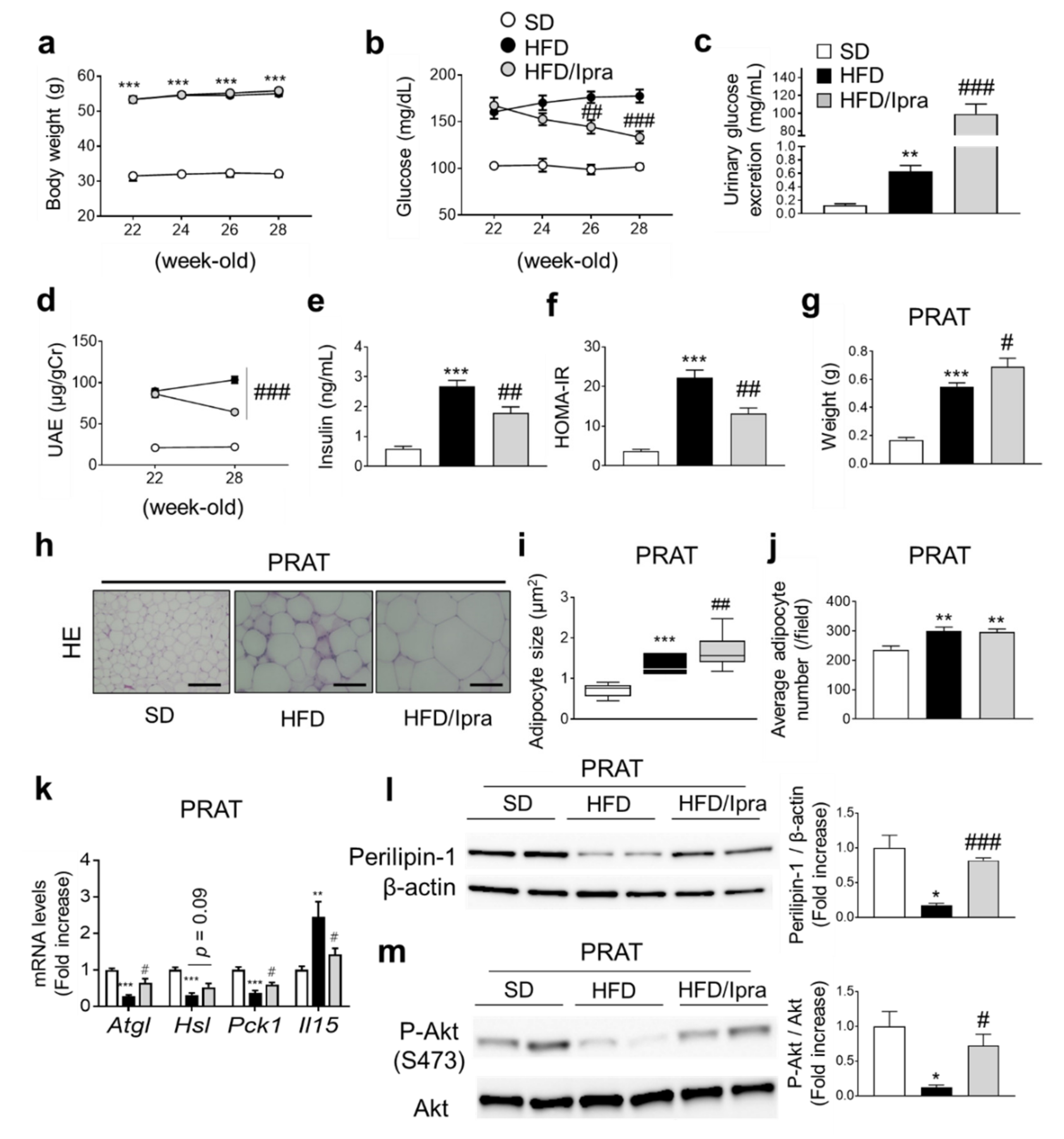 Ijms 22 07329 g001 550