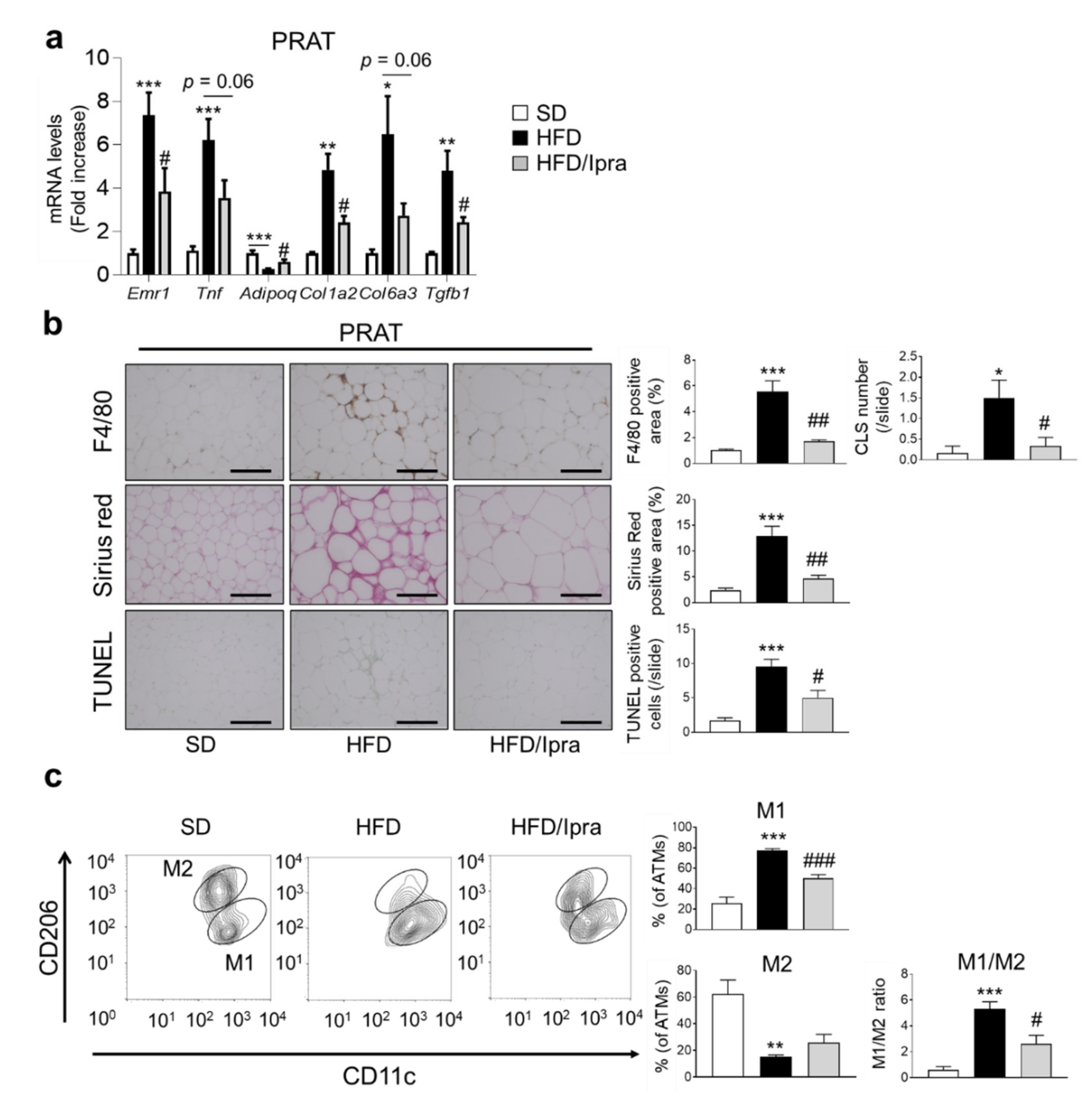 Ijms 22 07329 g002 550