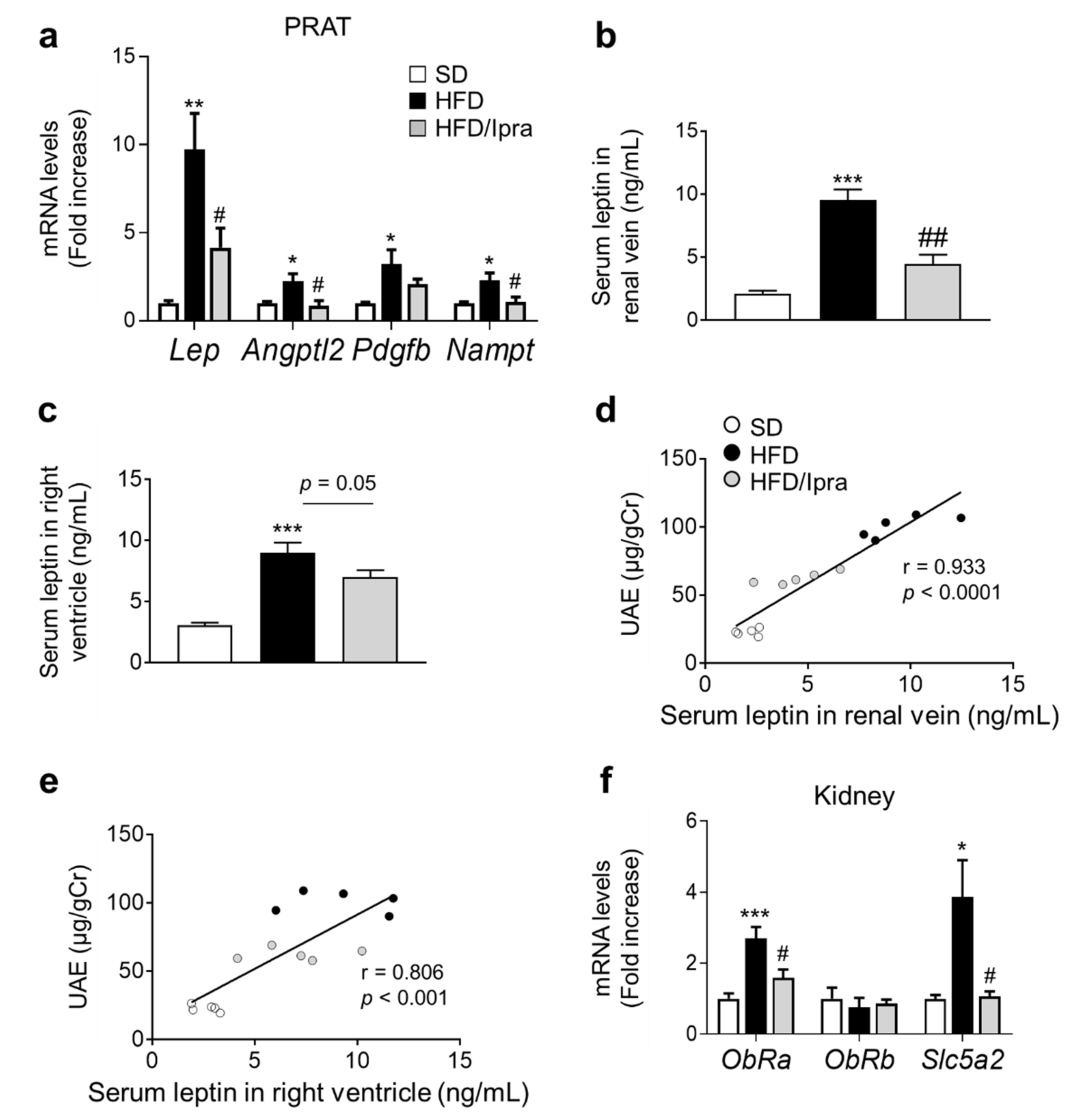 Ijms 22 07329 g004 550