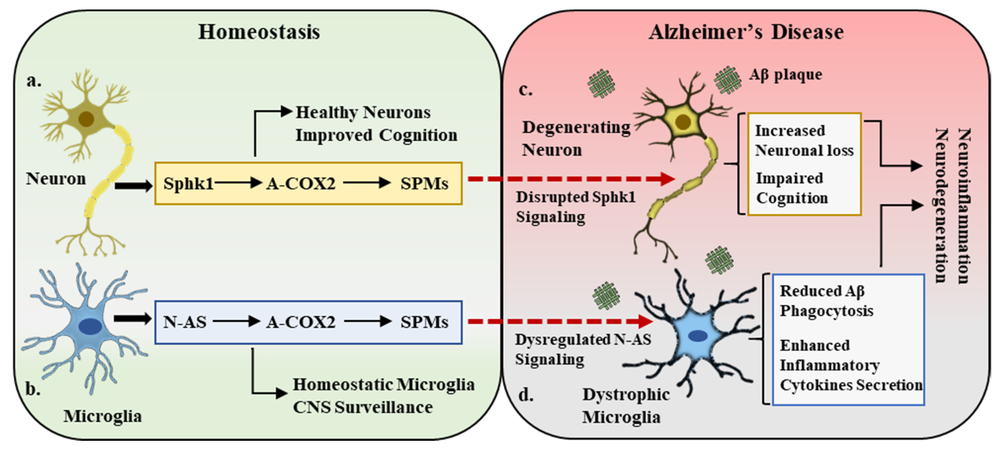 Ijms 22 07353 g002 Ijms 22 07353 g002
