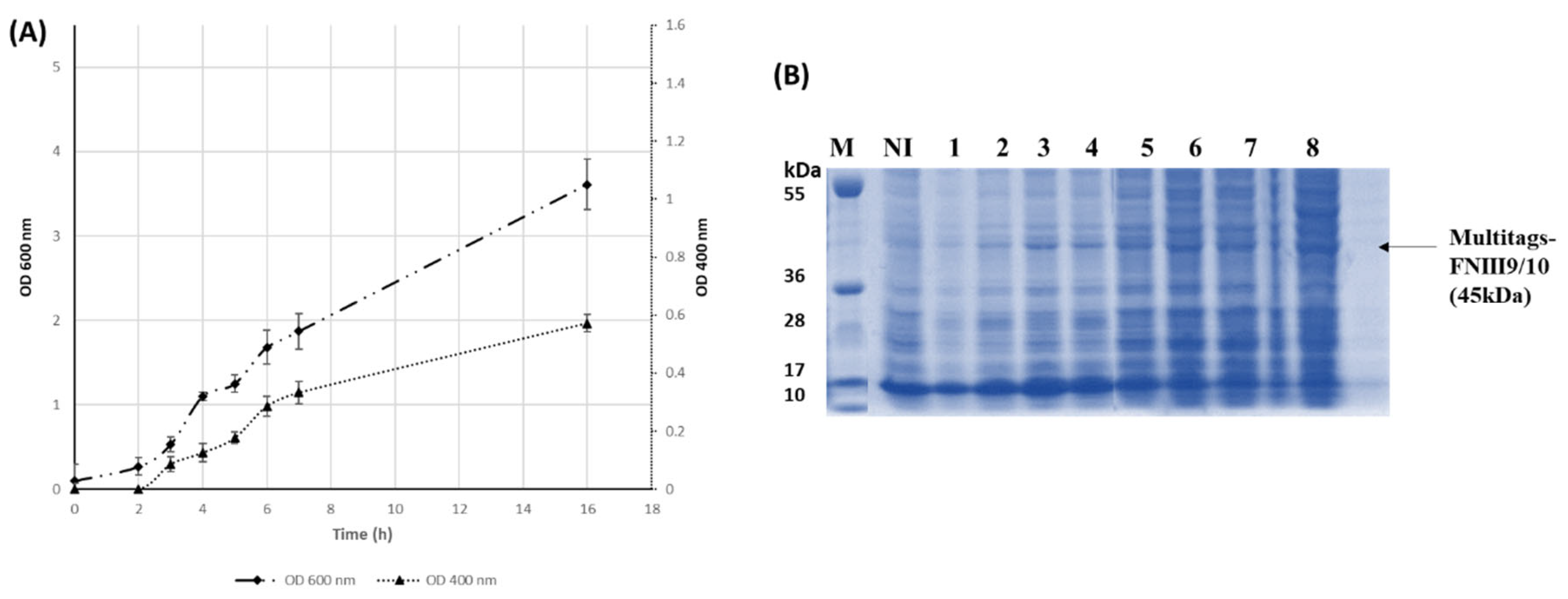 Ijms 22 07362 g001 Ijms 22 07362 g001