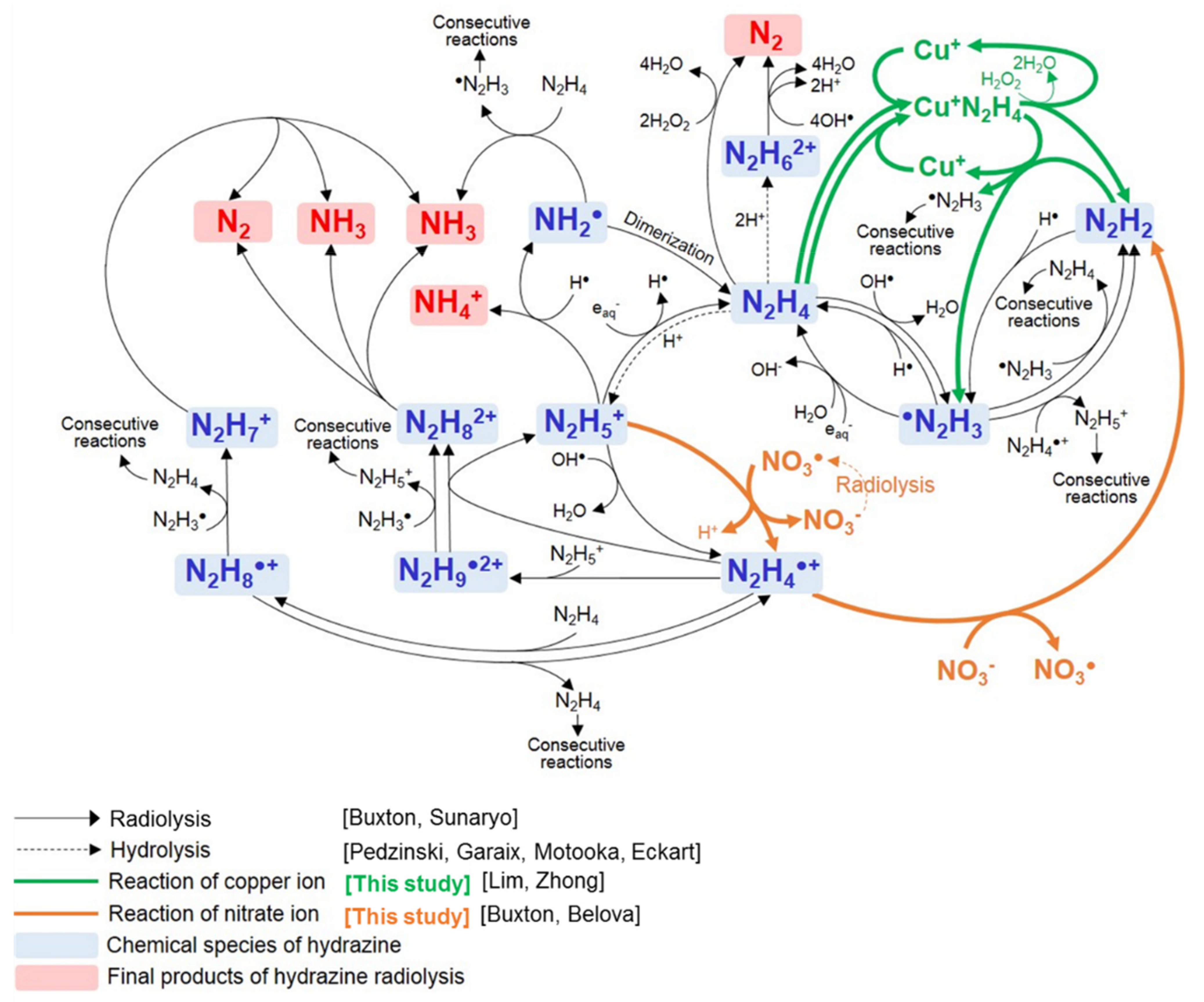 Ijms 22 07376 g005 550