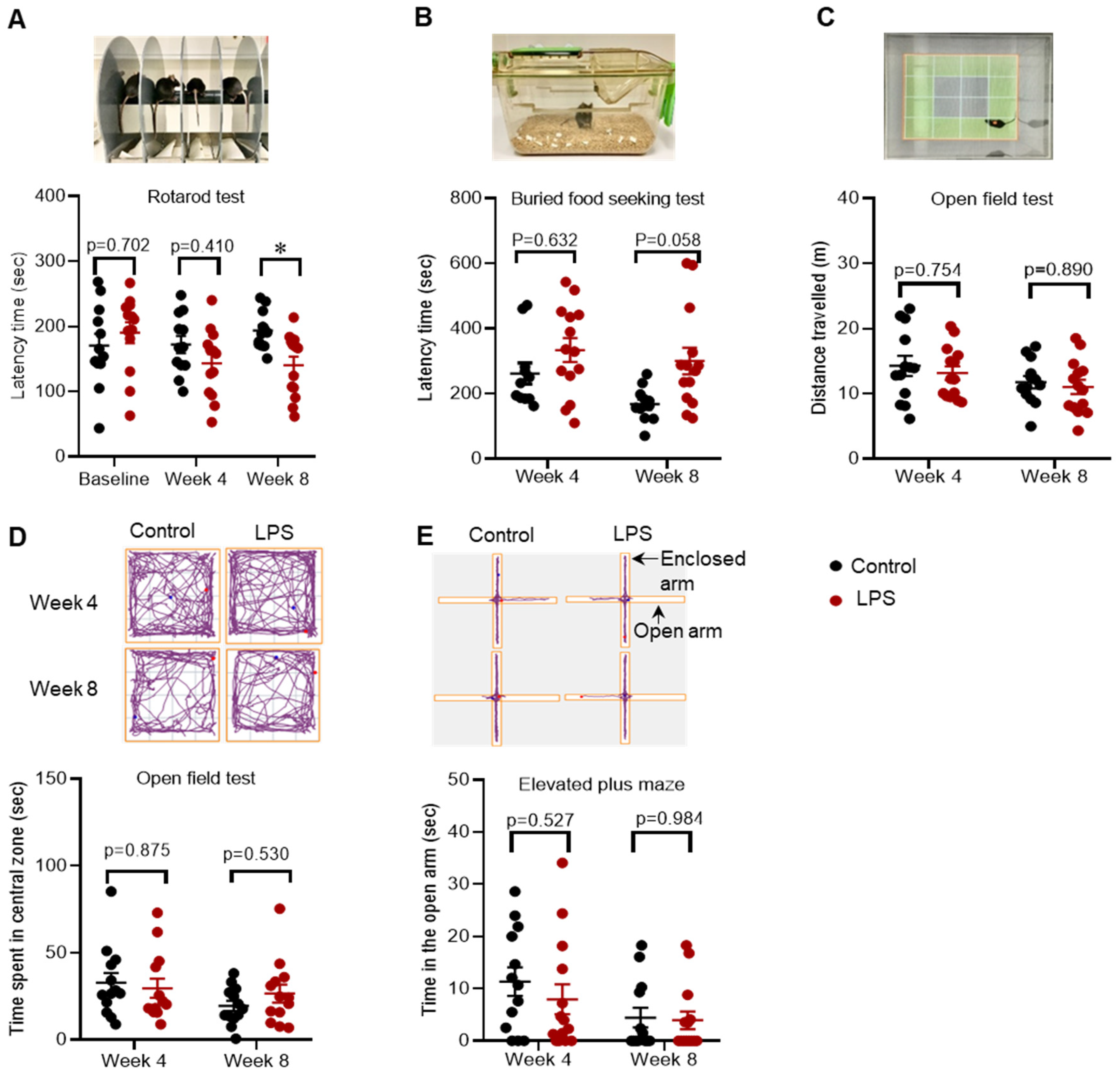 Ijms 22 07380 g001 550