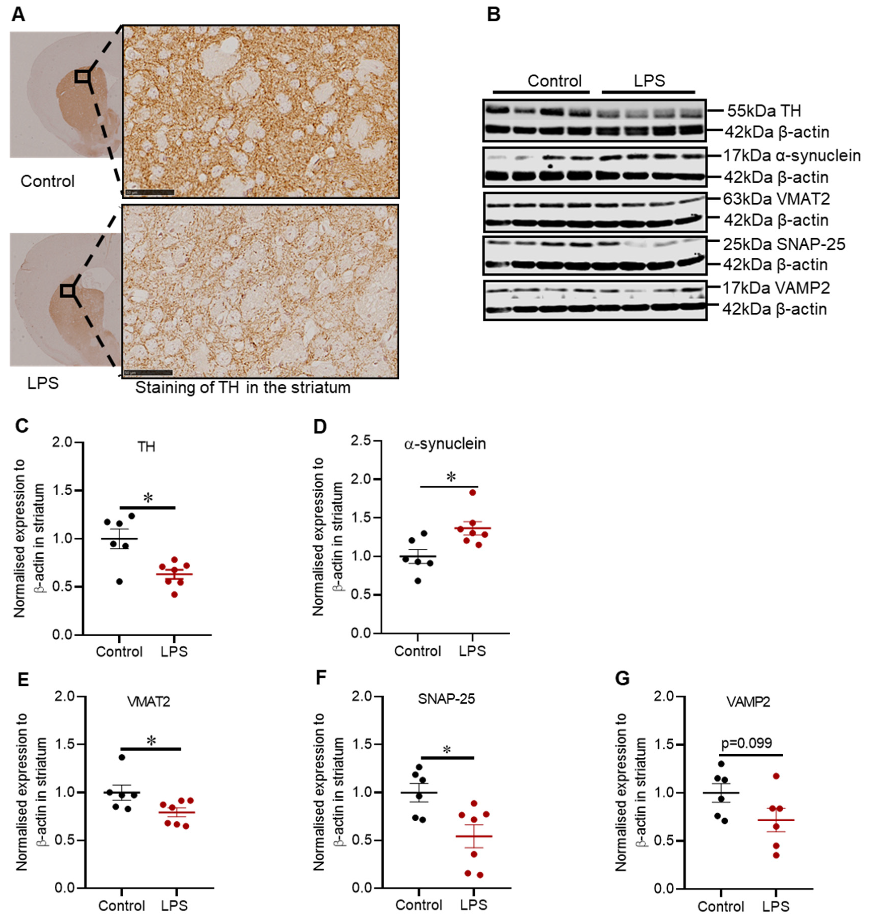 Ijms 22 07380 g002 550