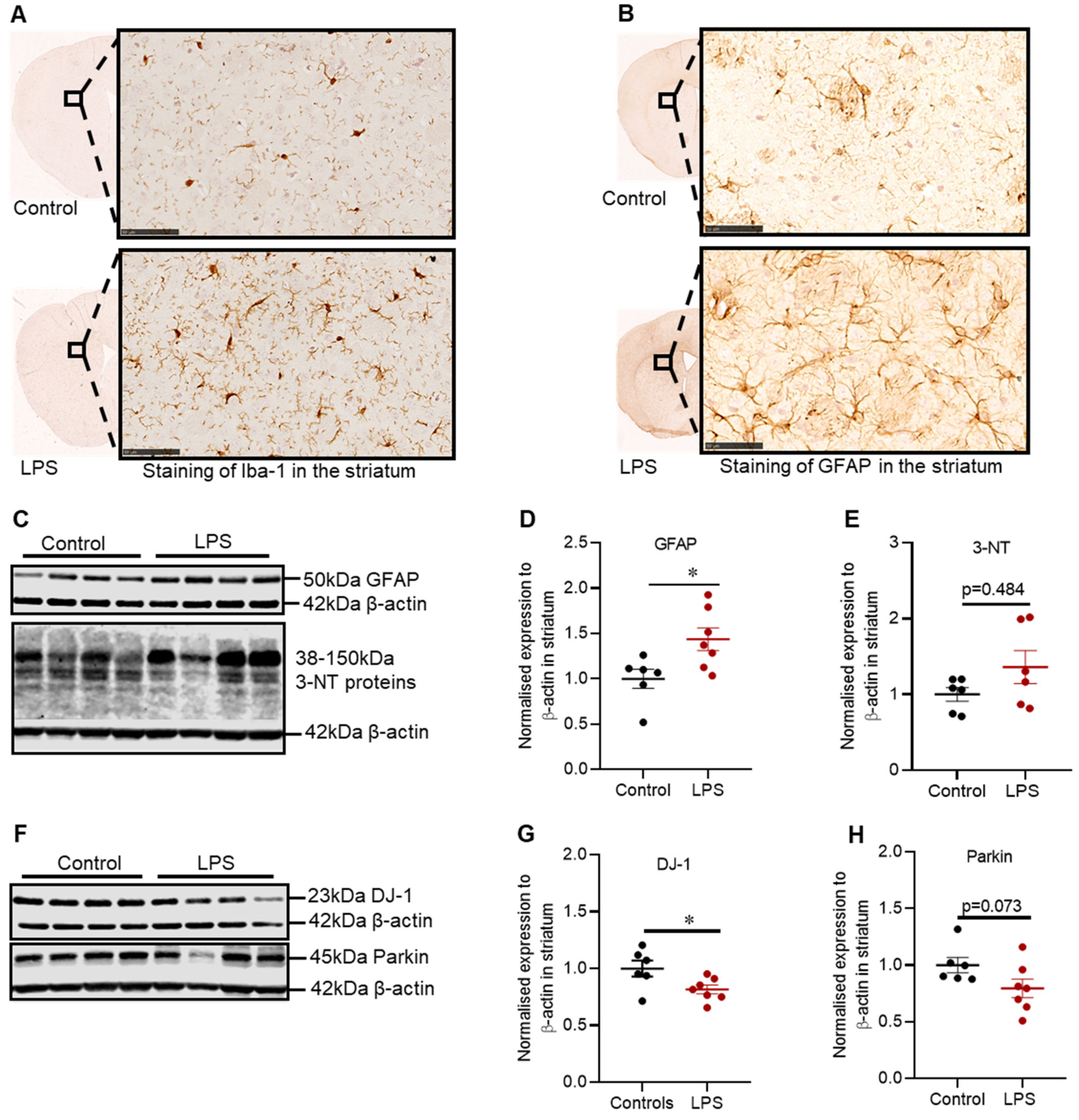 Ijms 22 07380 g003 550