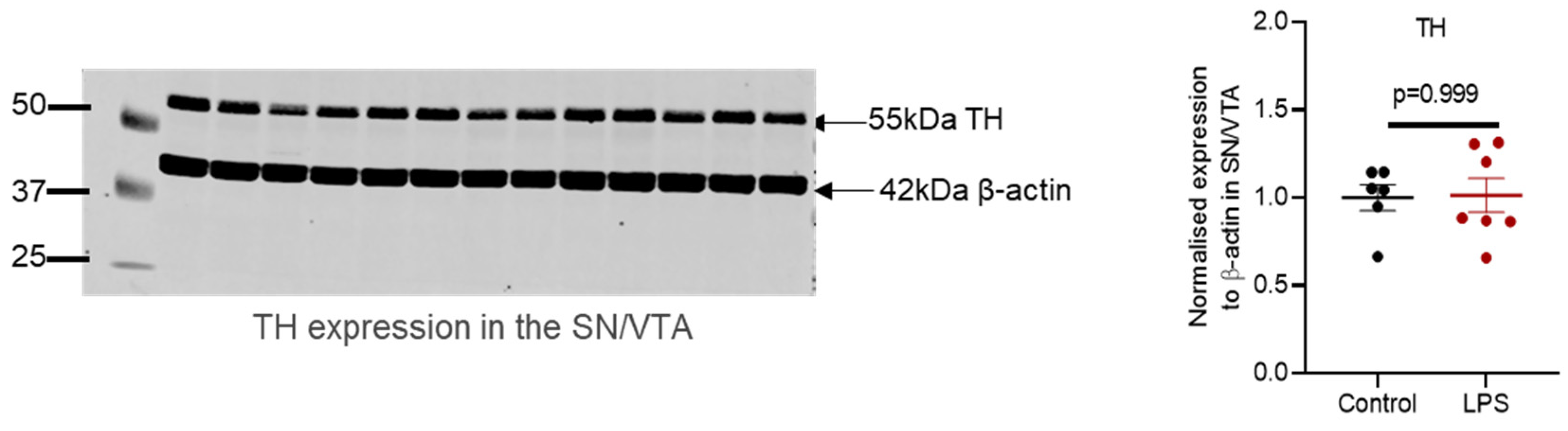 Ijms 22 07380 g0a1 550