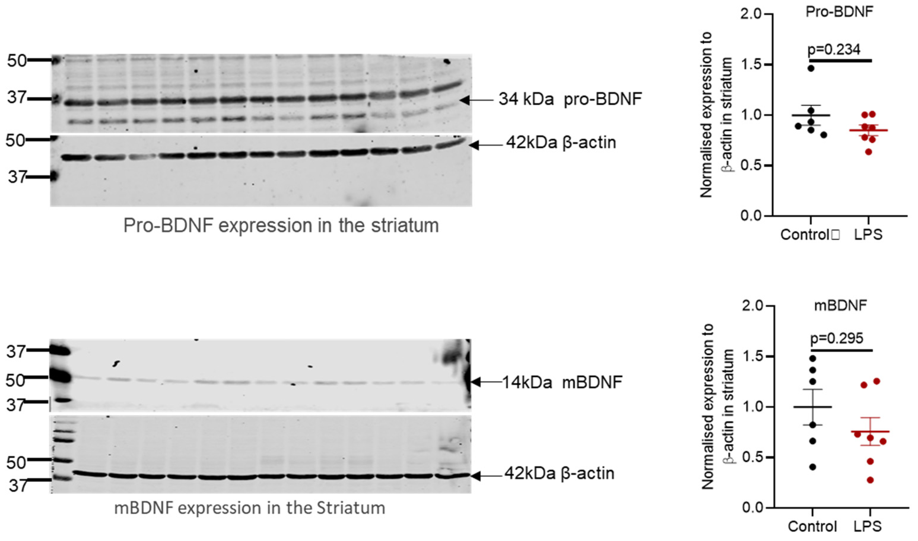 Ijms 22 07380 g0a2 550