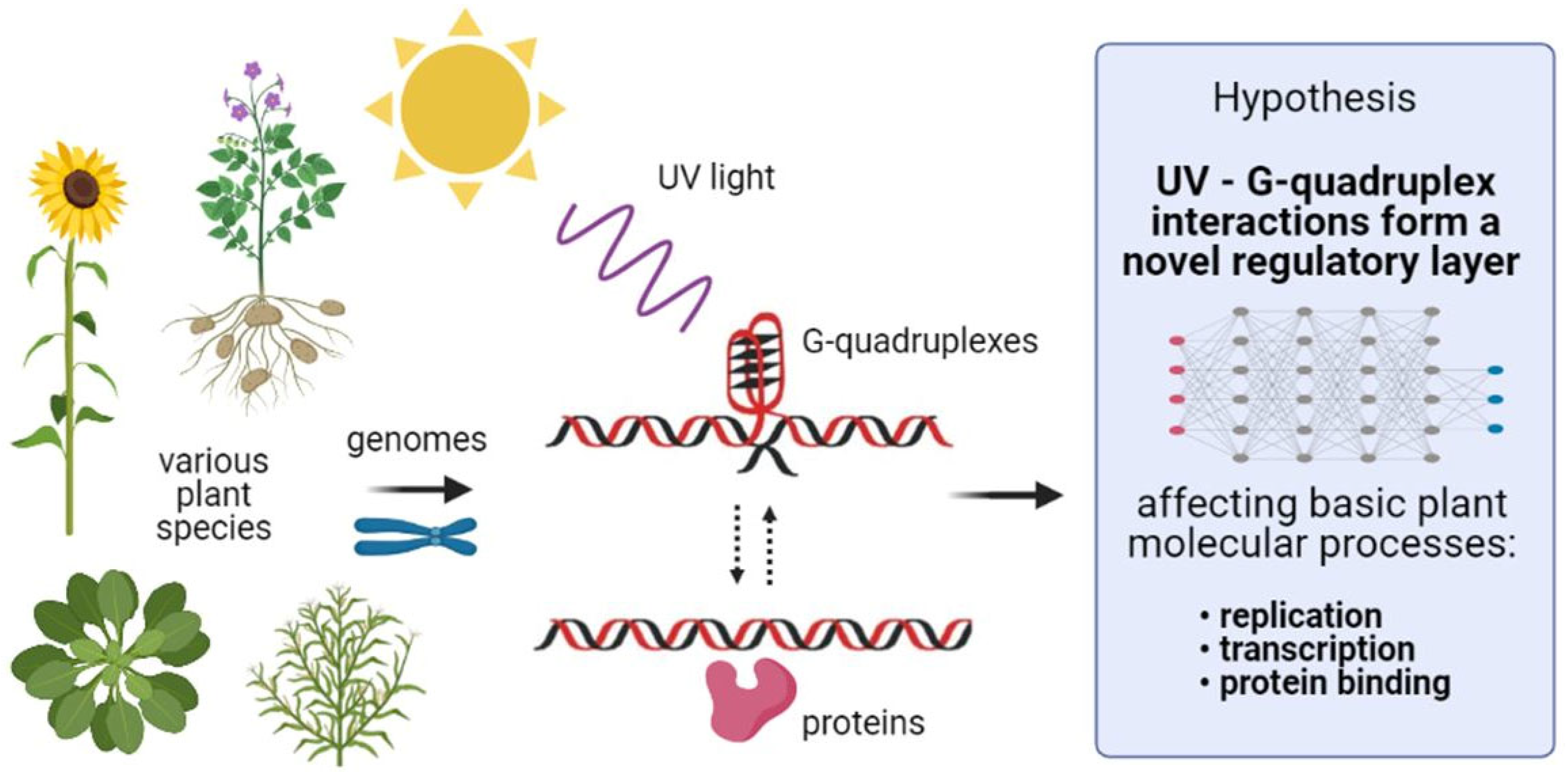 Ijms 22 07381 g004 550